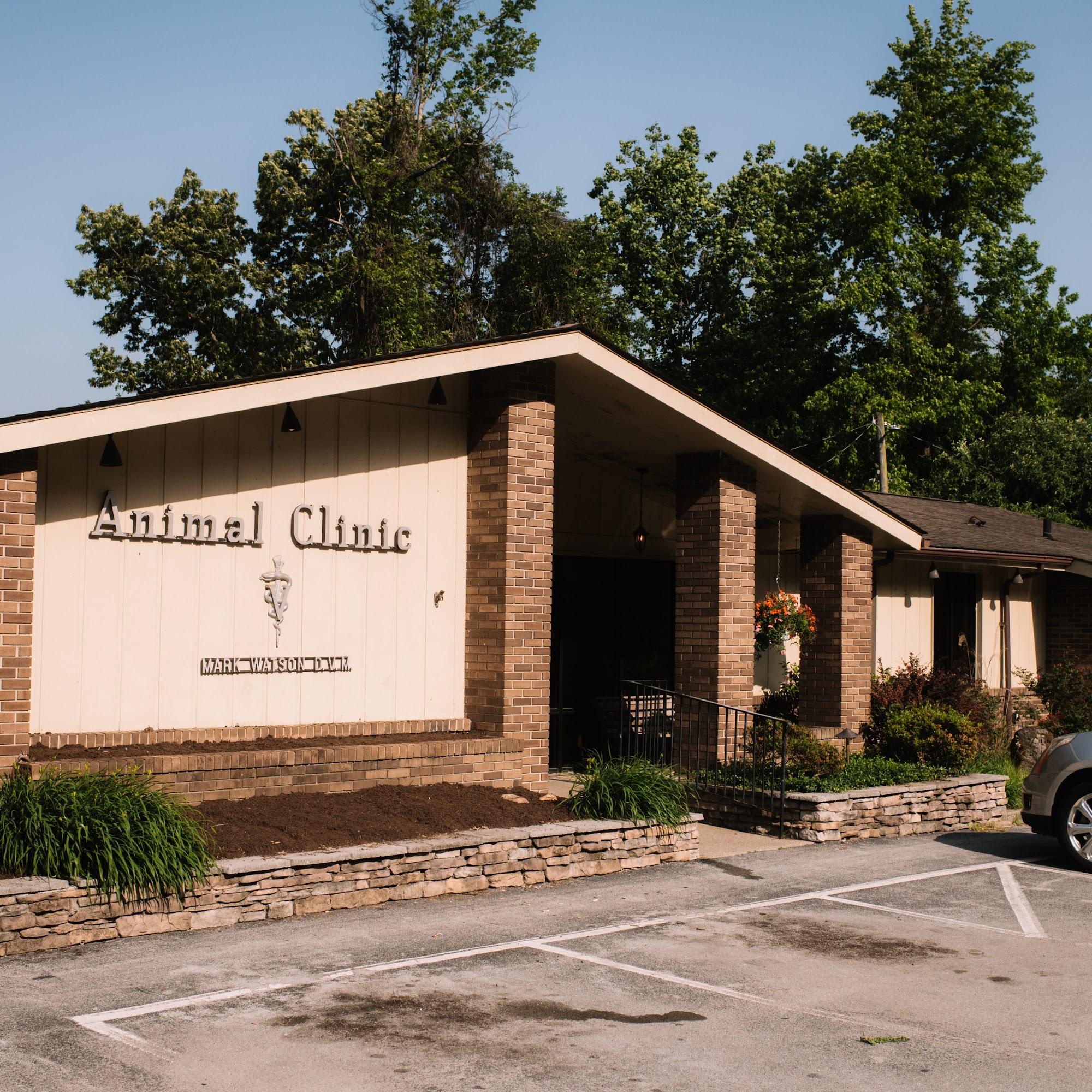 Bell County Animal Clinic Middlesboro