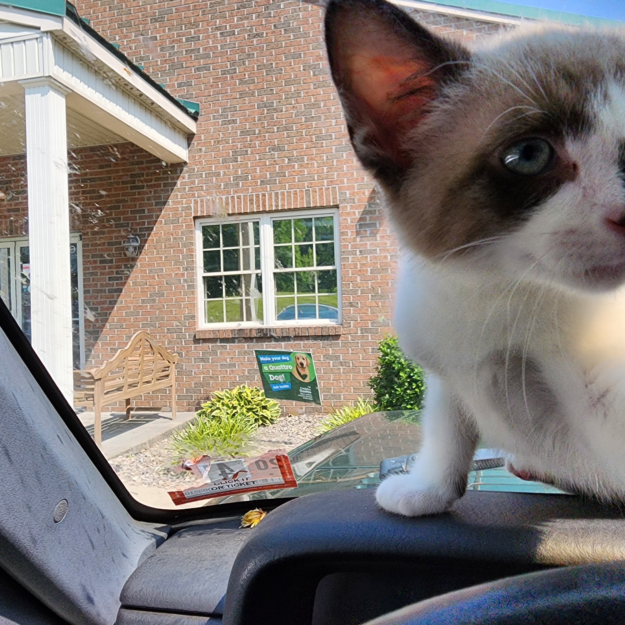 Morehead Veterinary Clinic Morehead