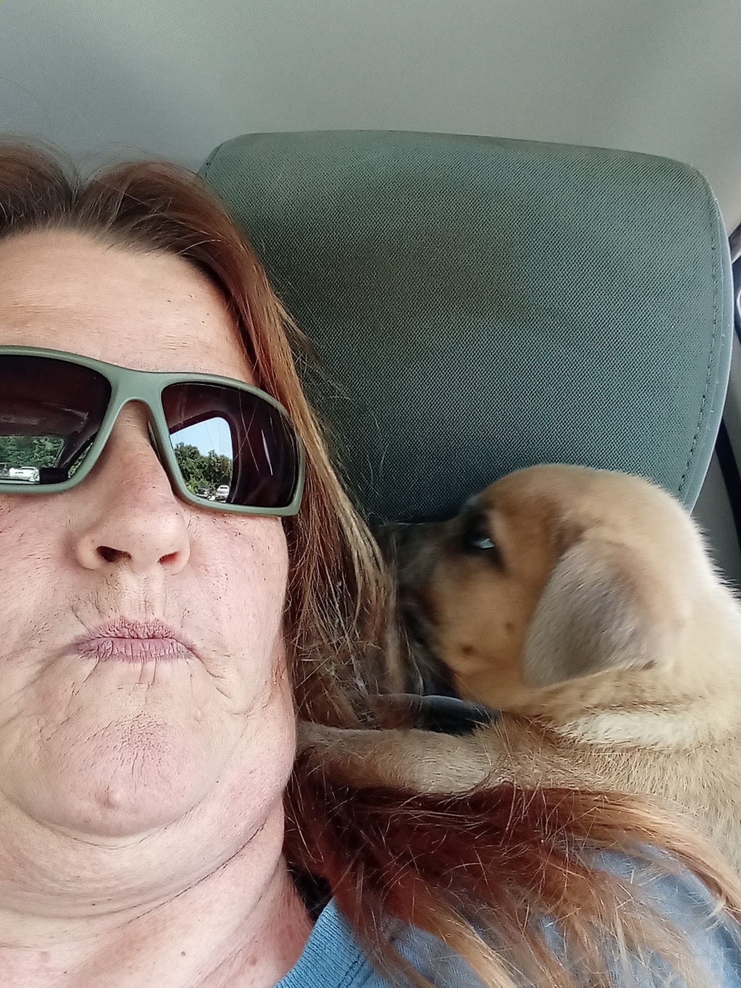 Butler County Animal Shelter Morgantown