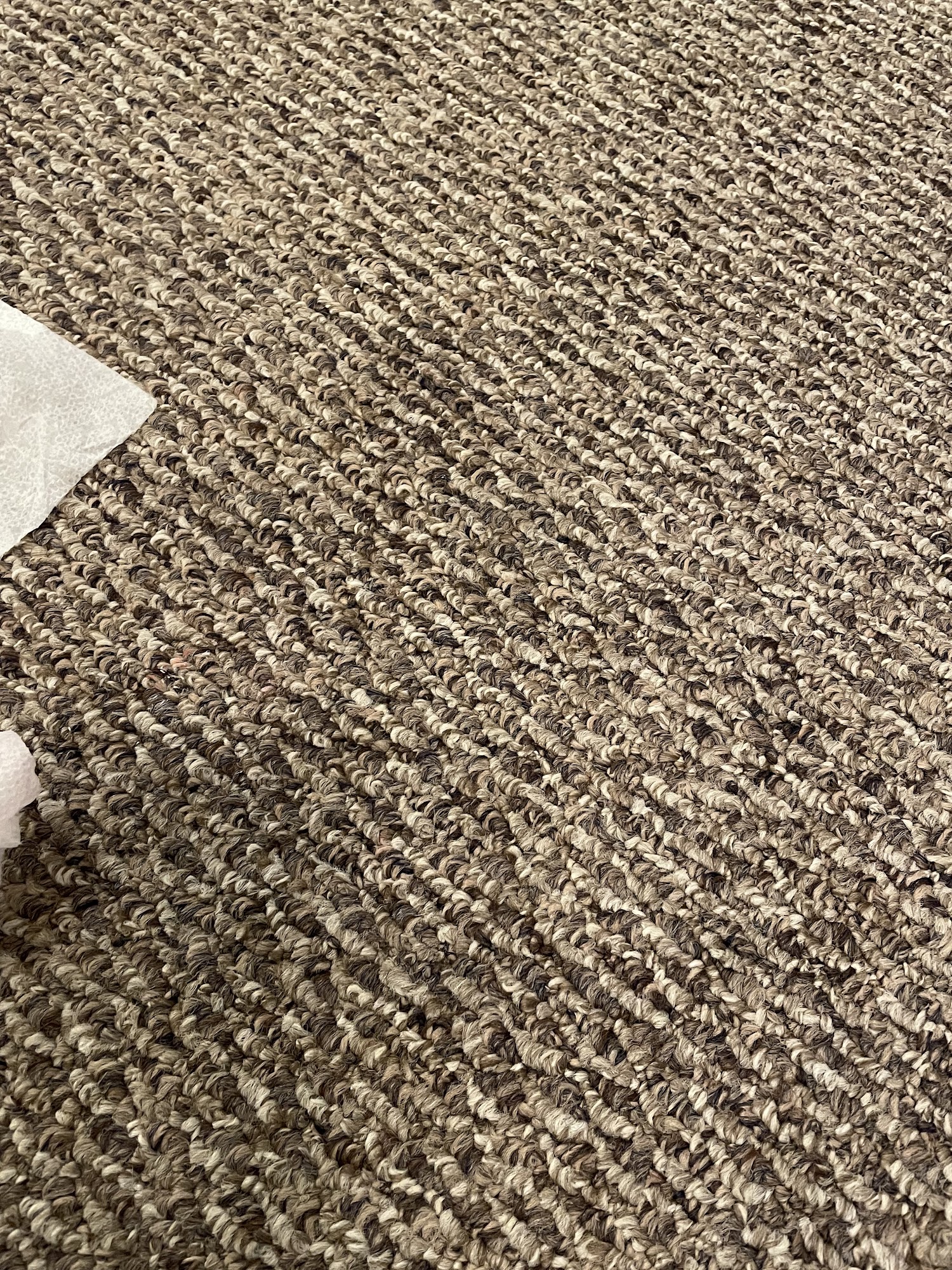 Big Bentley's Pet Supply LLC Mount Sterling