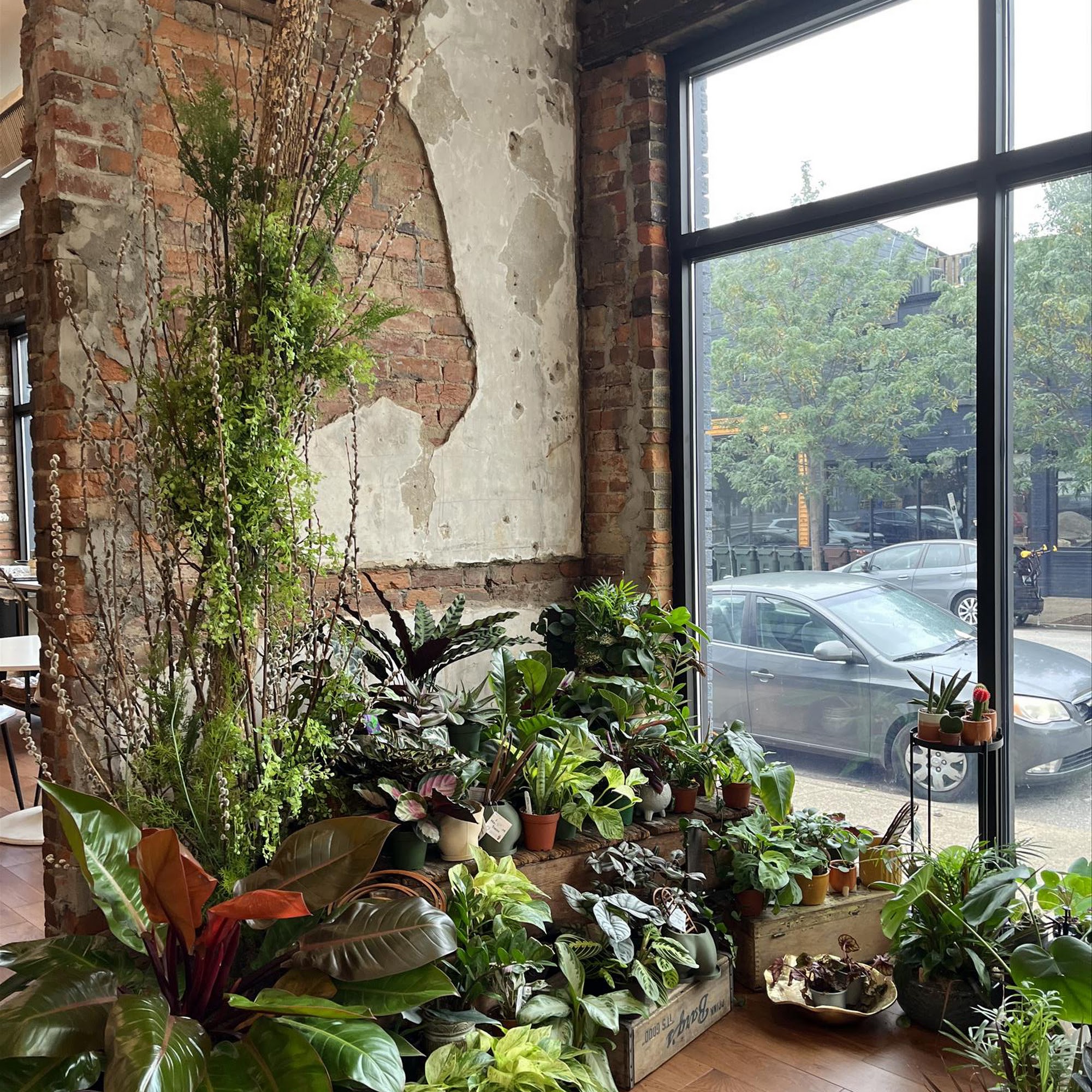 Marti Heard Designs 902 Saratoga St, Newport Kentucky 41071