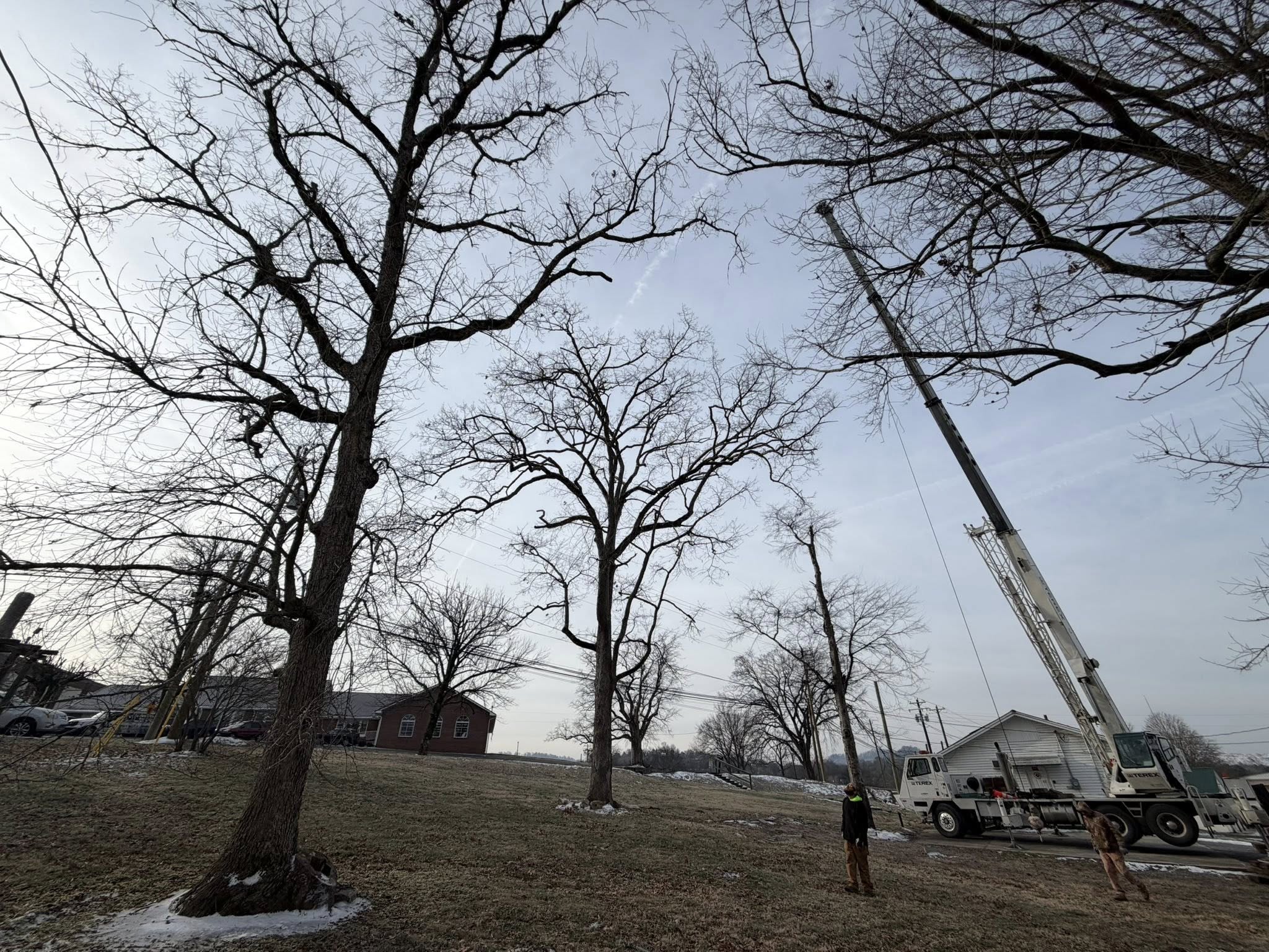 Big Beaver Tree Service Inc