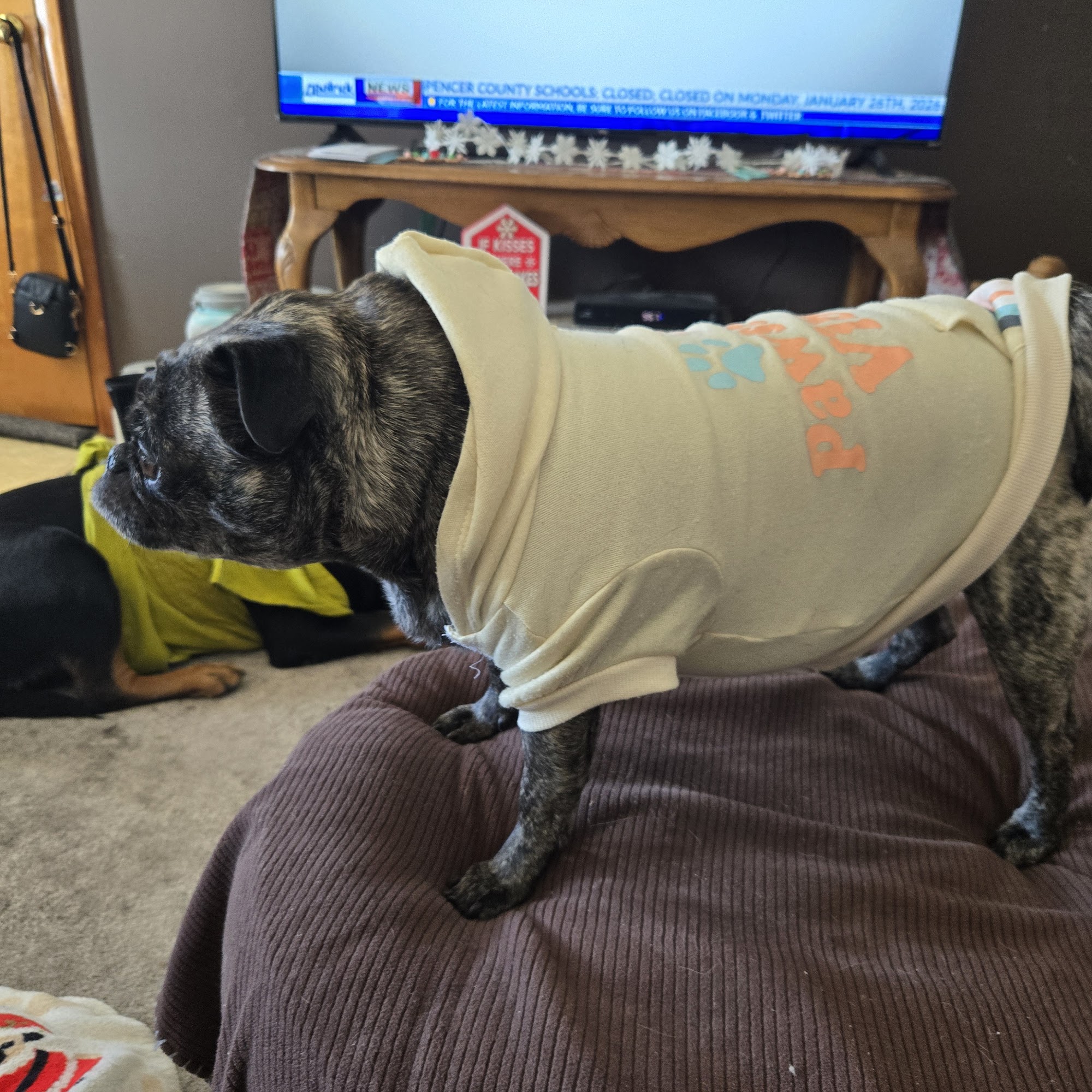 Audubon Animal Hospital Owensboro