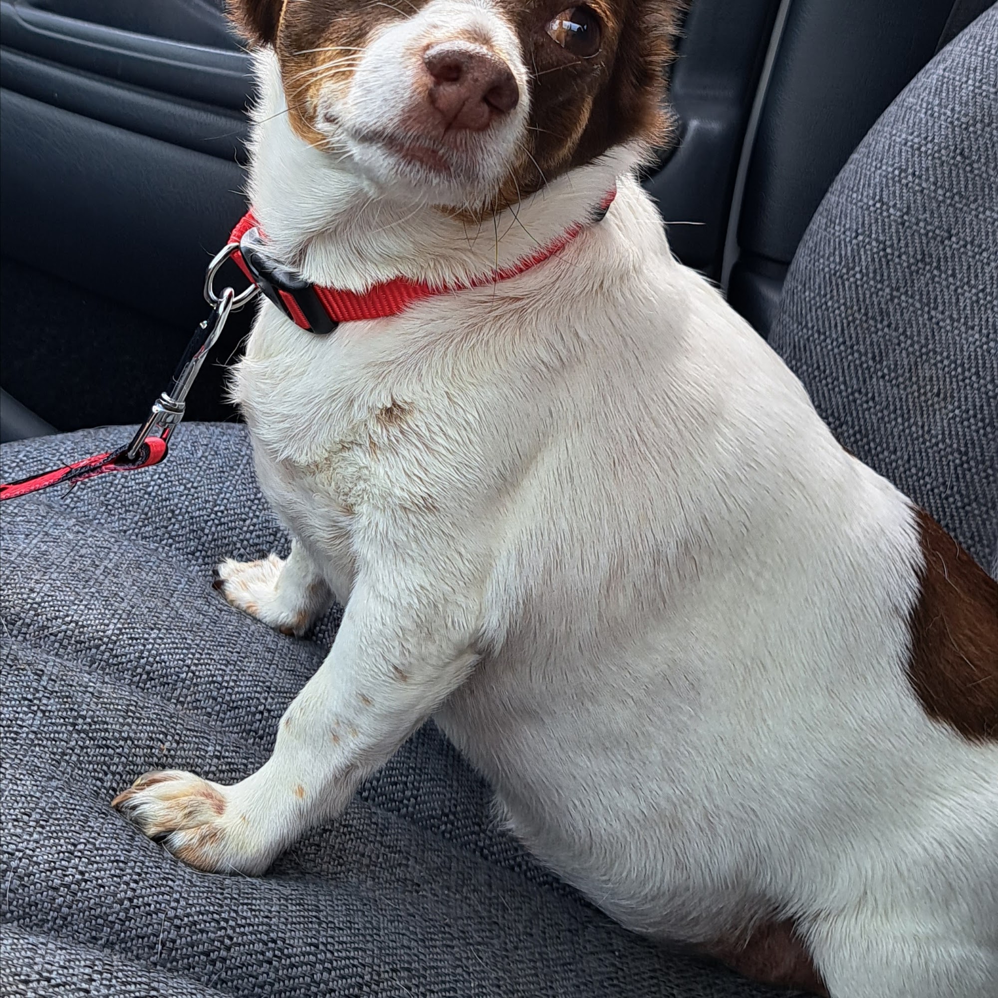 Bath Veterinary Clinic Owingsville