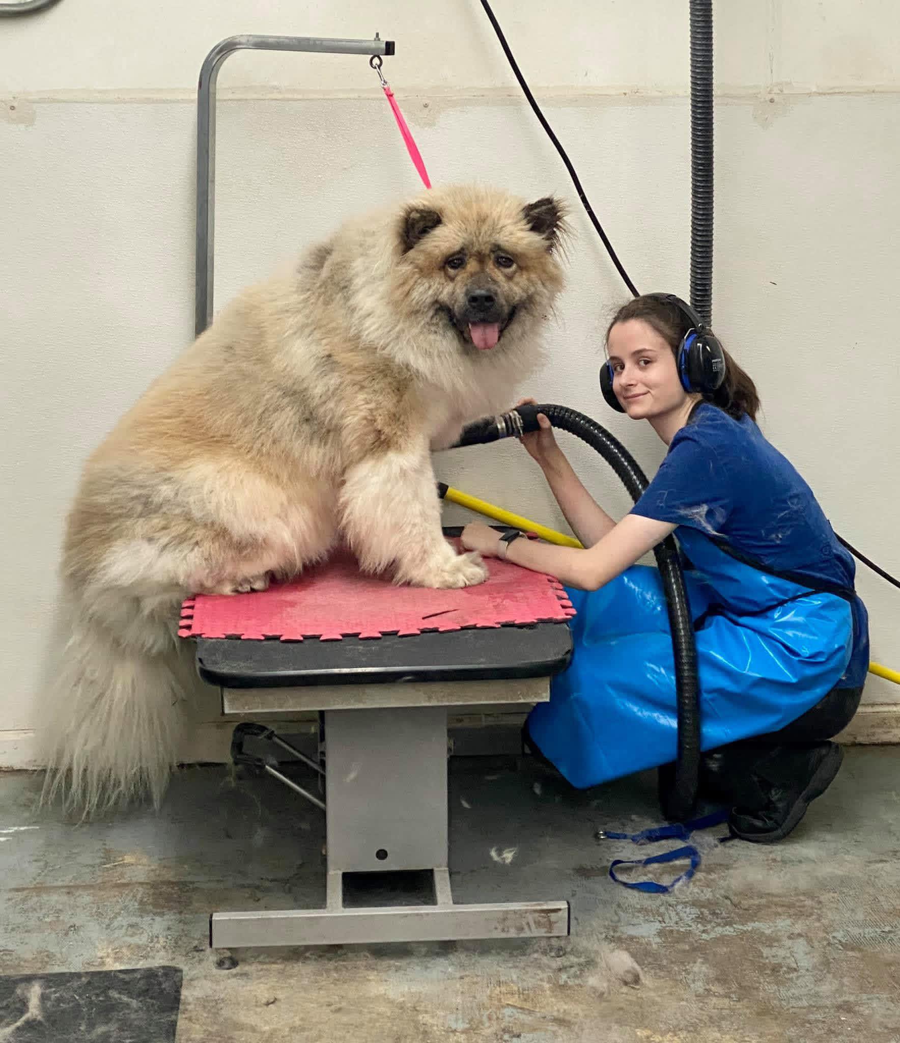 Precious Paws Pet Grooming Paducah