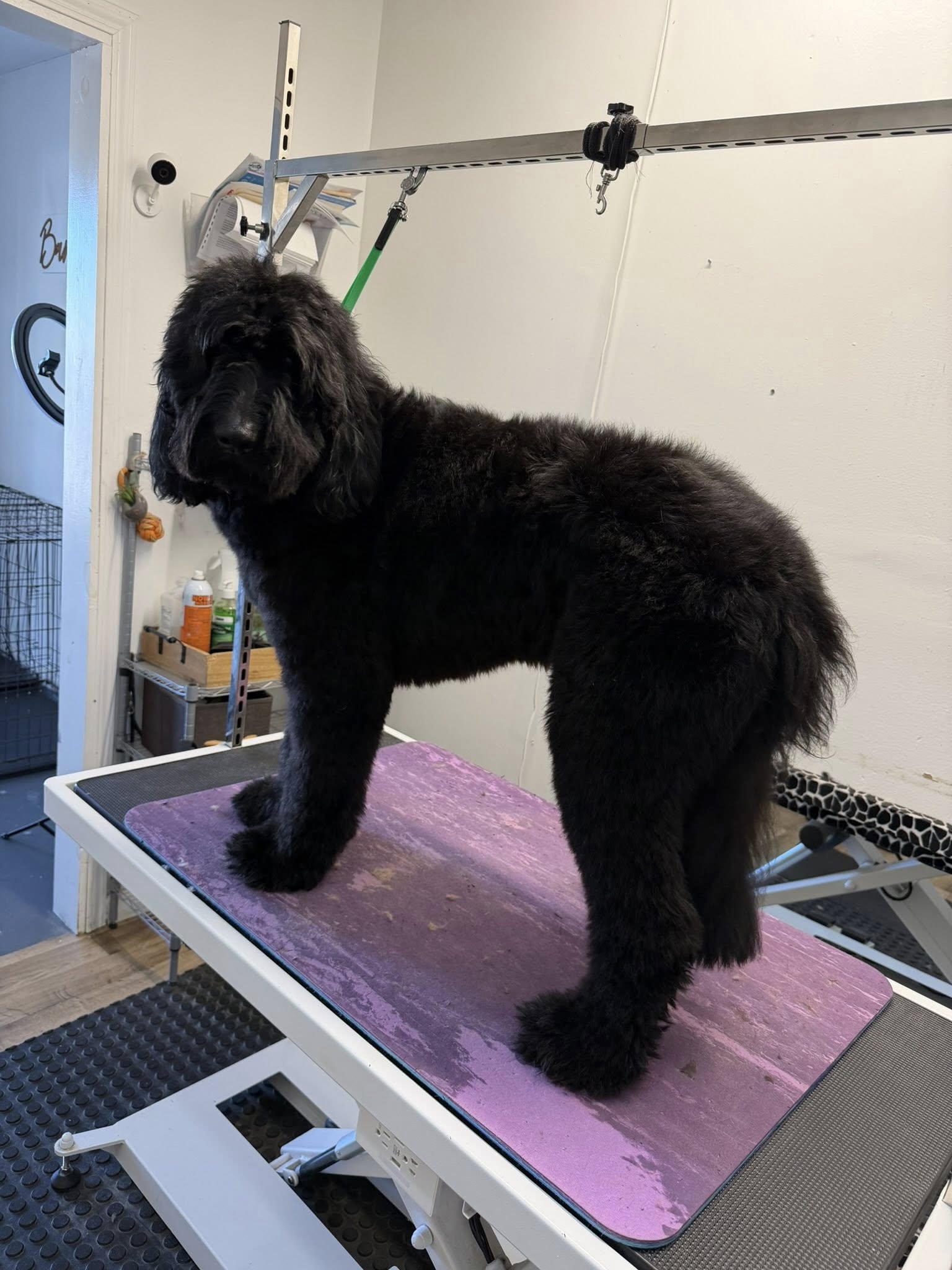 Barks N Bubbles Paducah Paducah