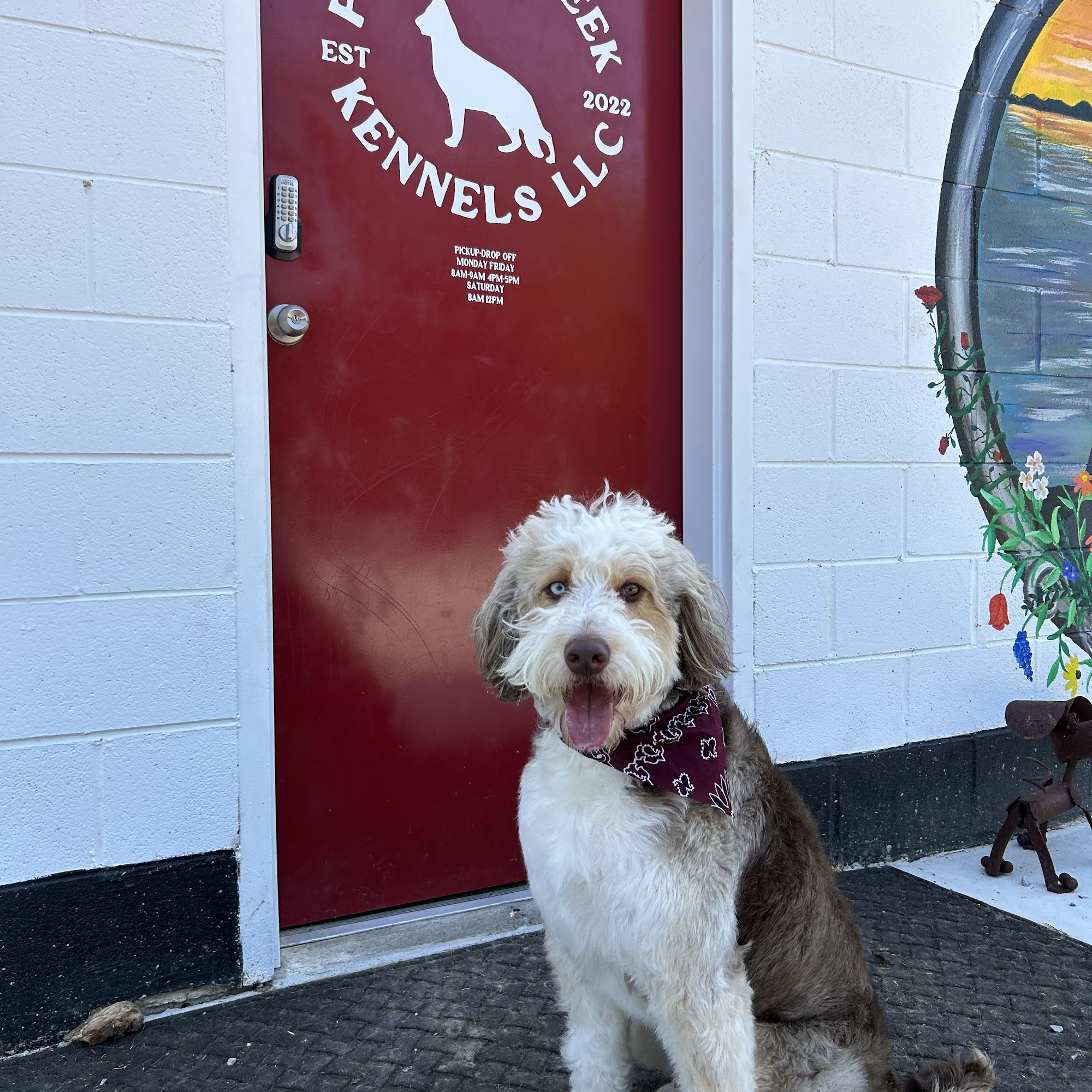 Pebble Creek Kennels Paducah