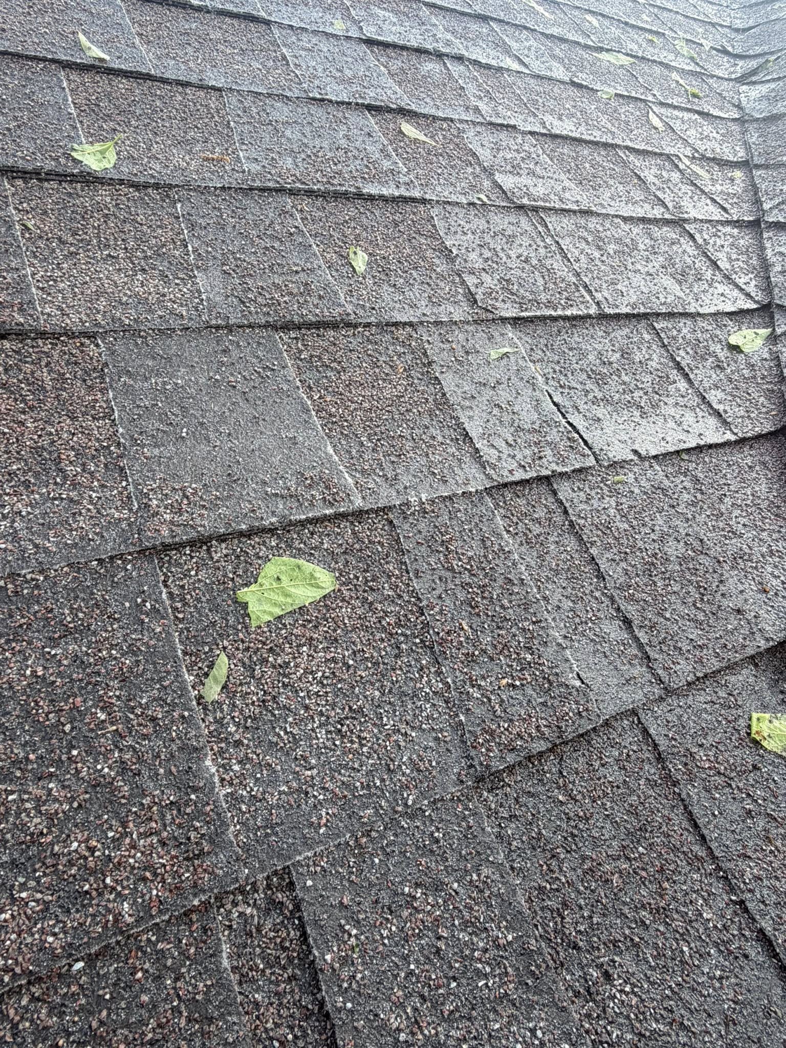 Veterans Pro Insulation