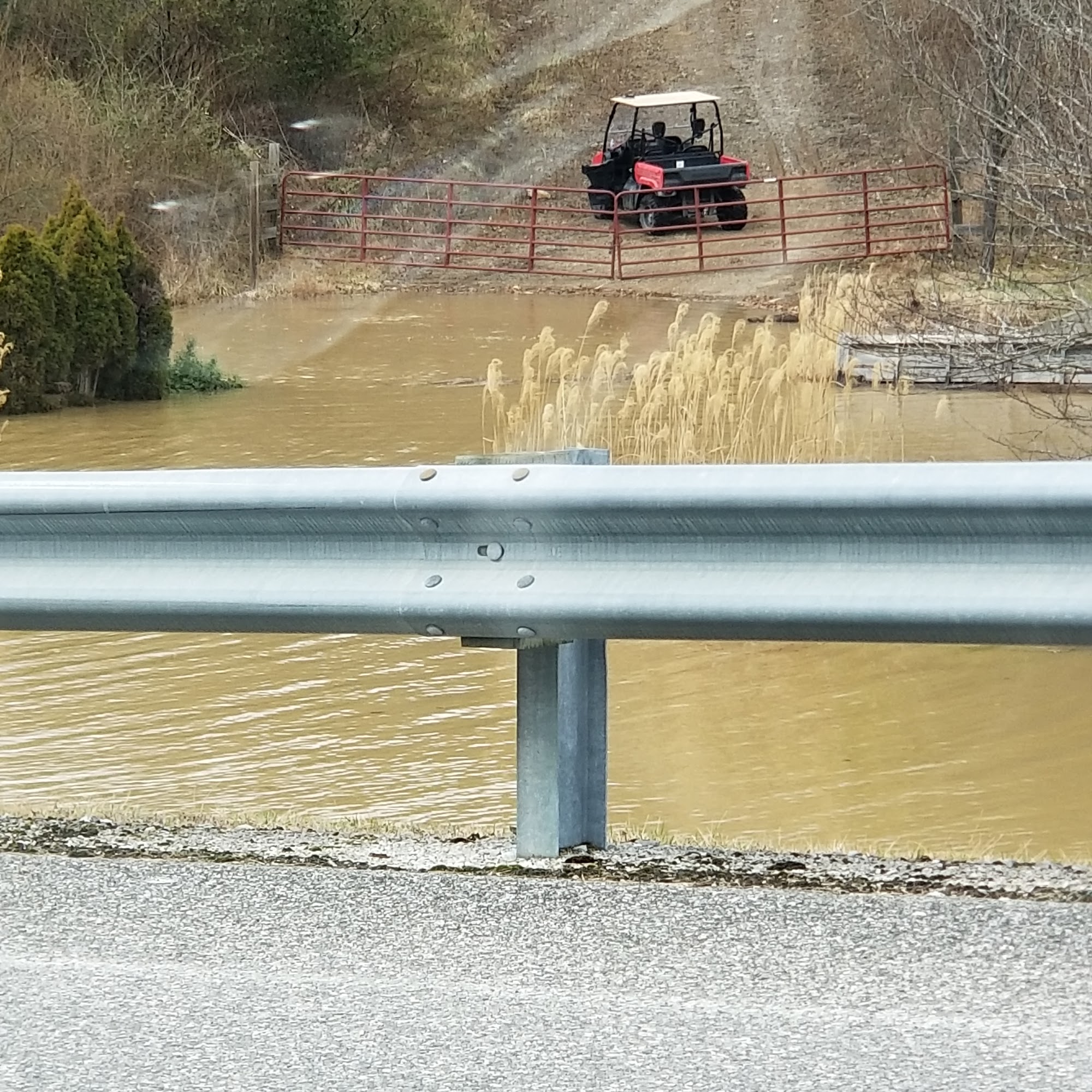 Highland Veterinary Clinic Joel Salyer DVM Paintsville