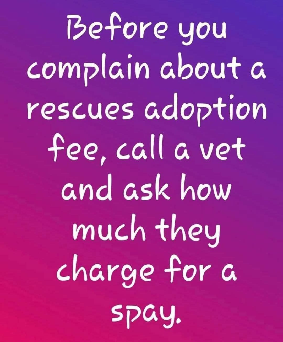 Pet Groomin & Boarding by David Rogers Princeton