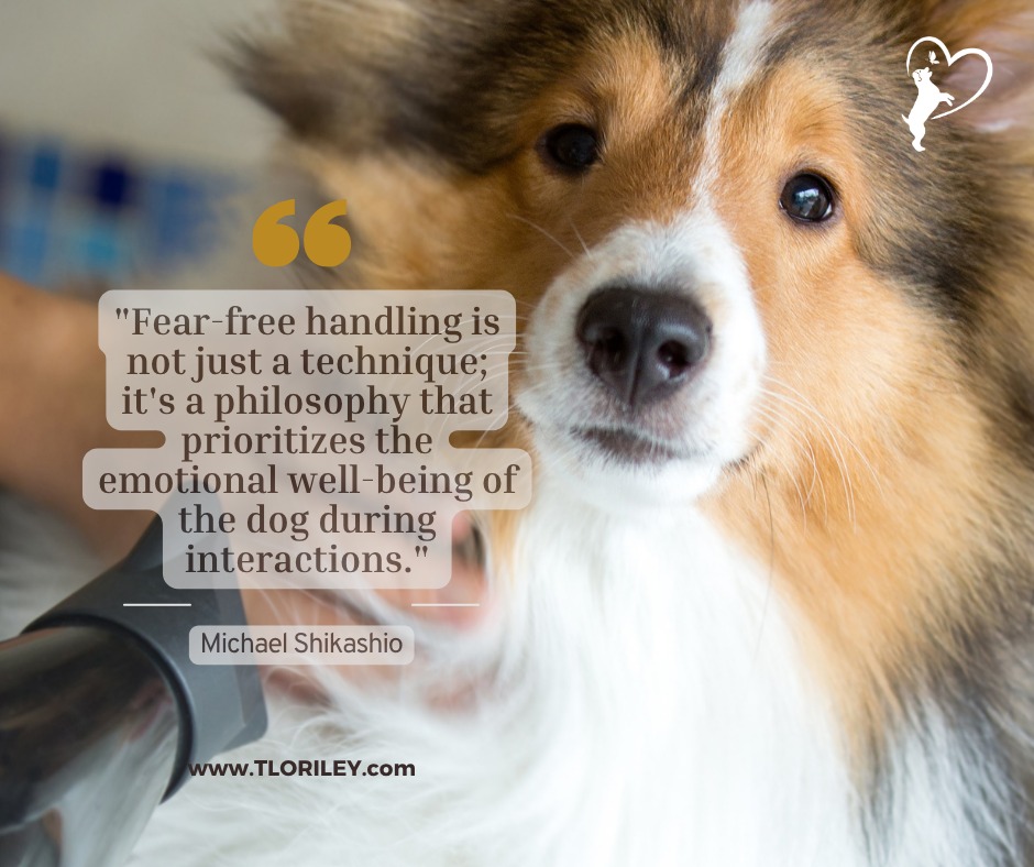 The Life of Riley Dog Training & Pet Care Prospect