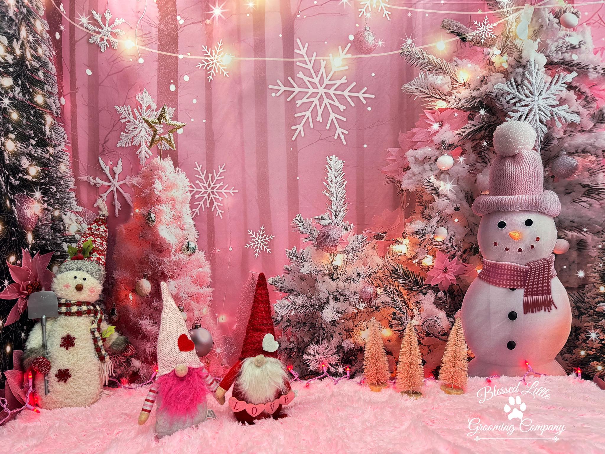 Blessed Little Grooming Company, LLC Radcliff