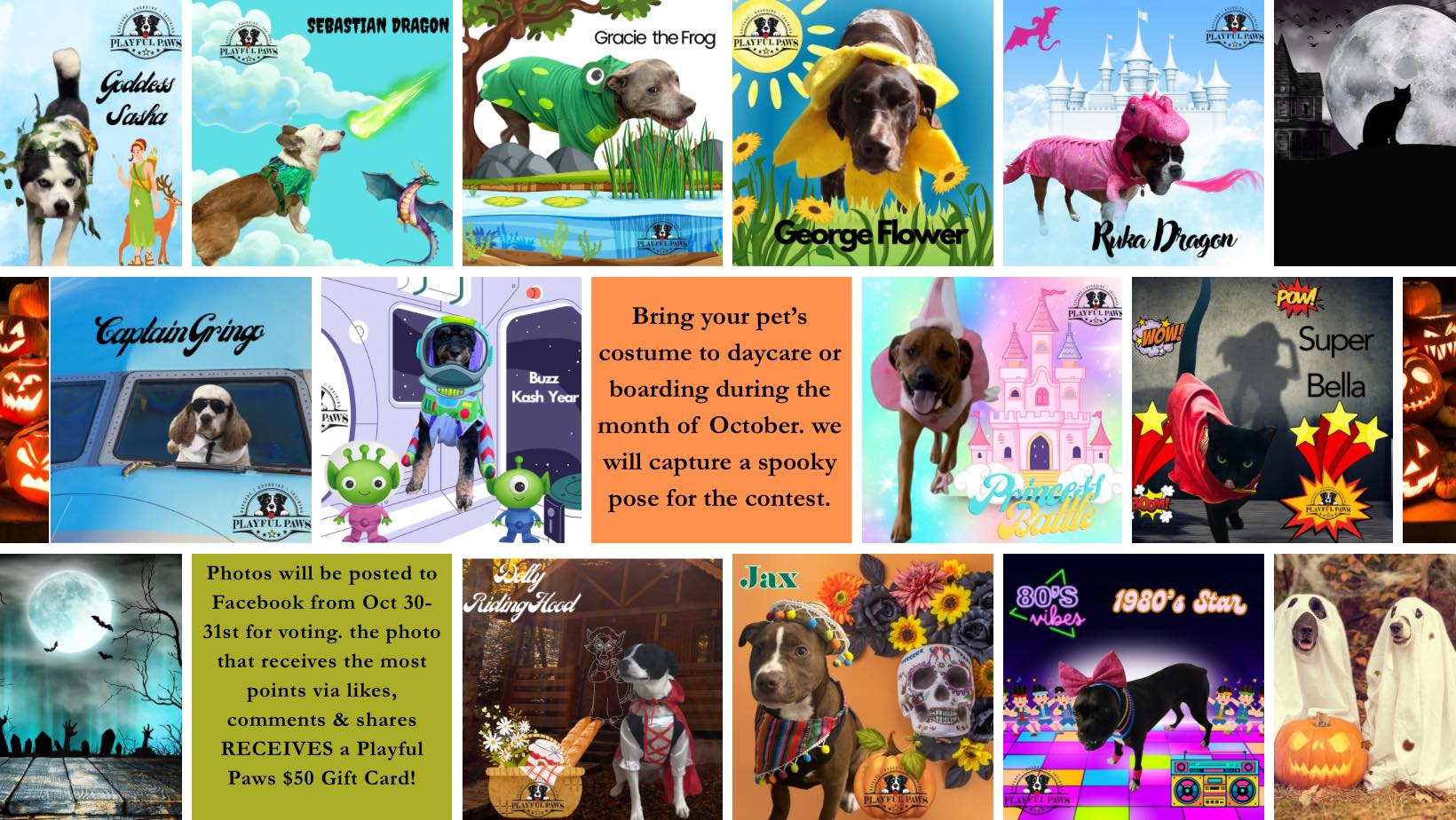 Playful Paws Radcliff