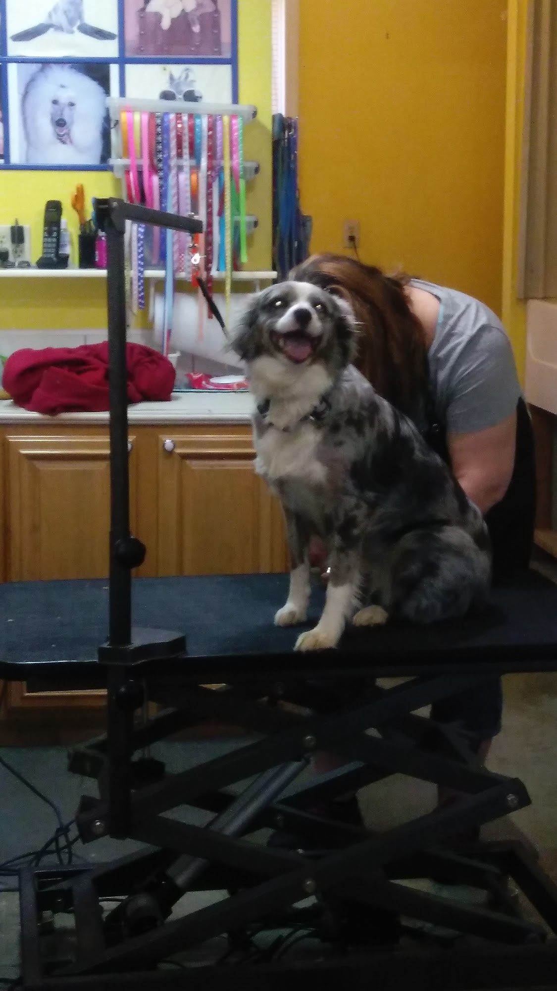 Karen's Pampered Pets Grooming and Boarding Radcliff