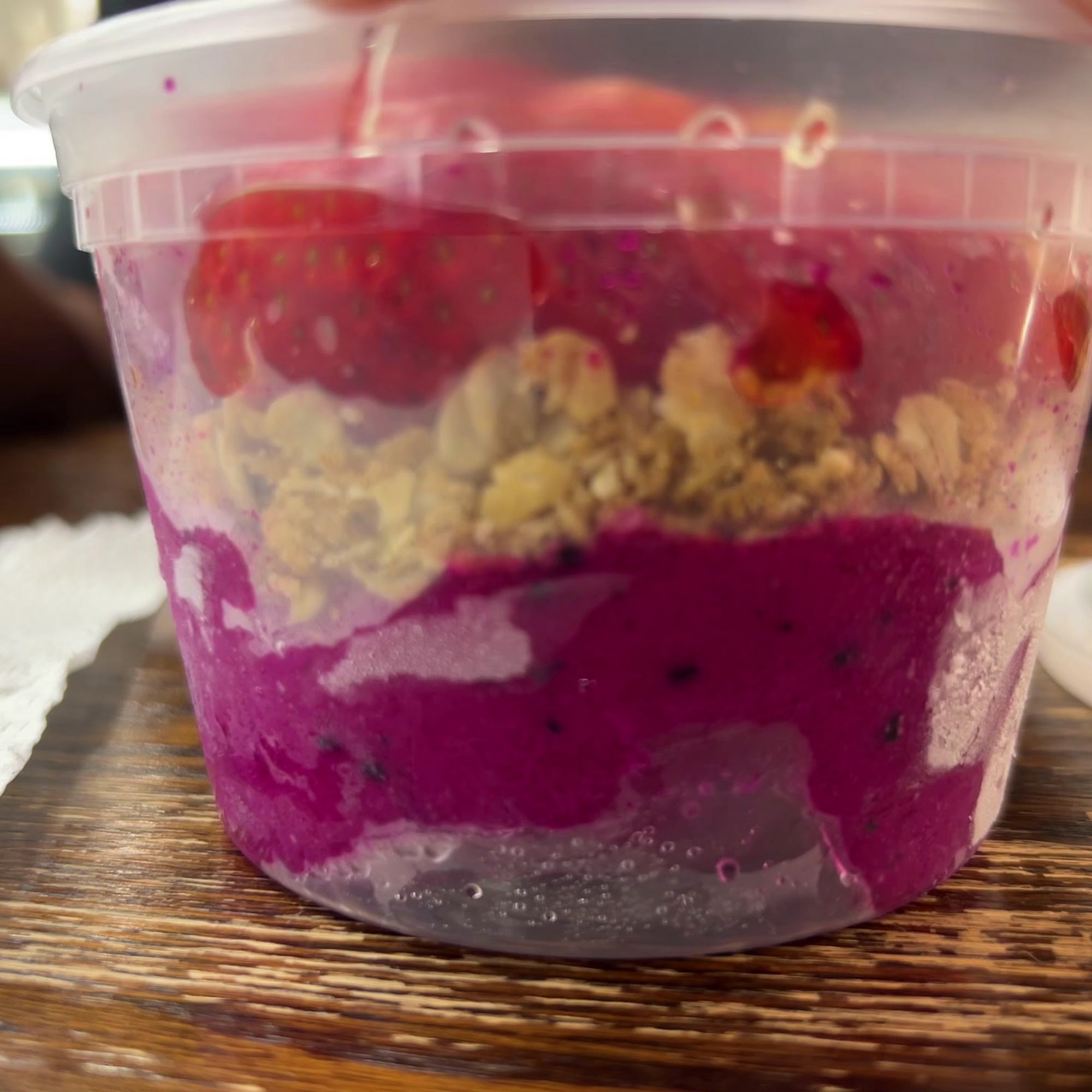 chocolate LAB Radcliff