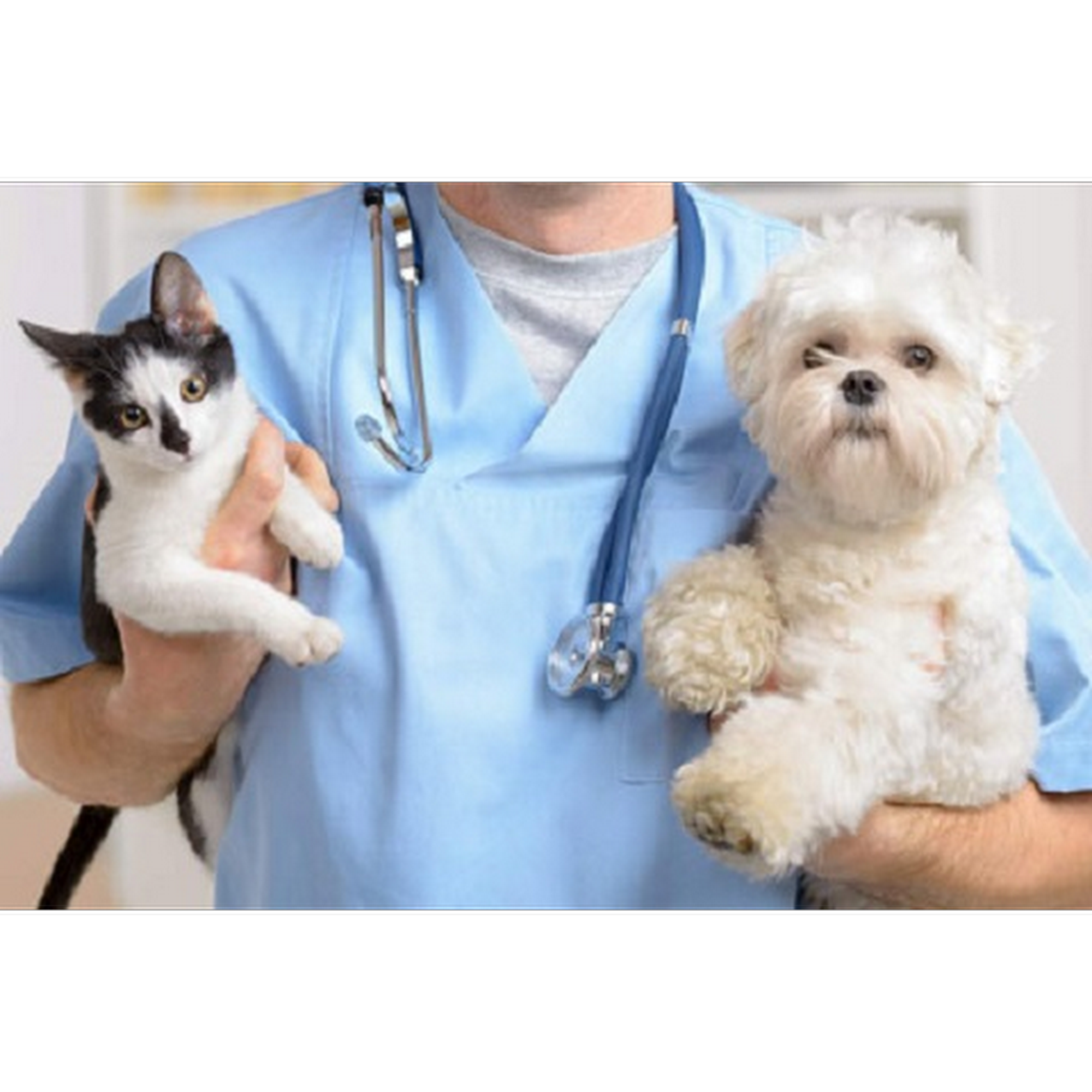 By-Pass Animal Clinic Richmond