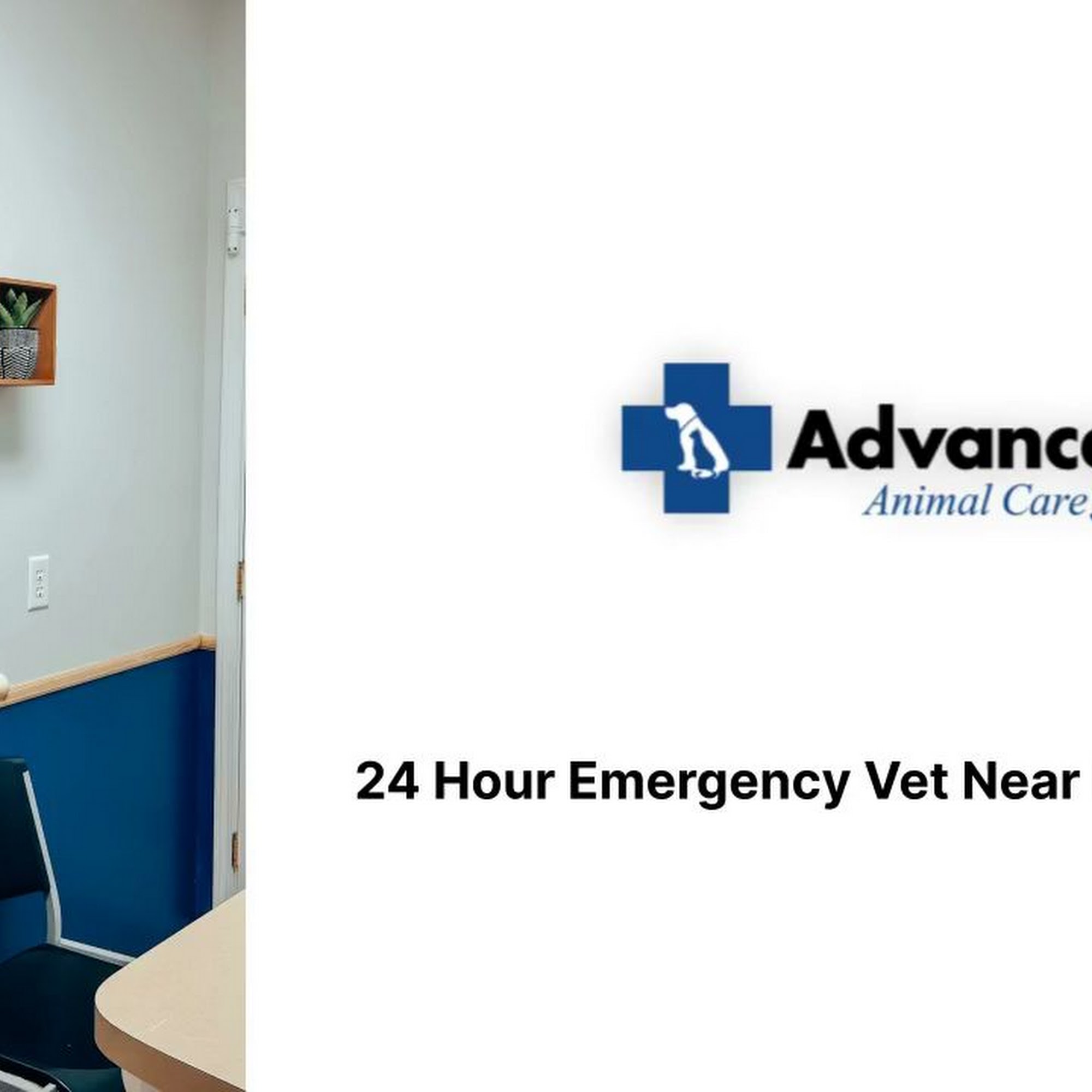 Advanced Animal Care Richmond