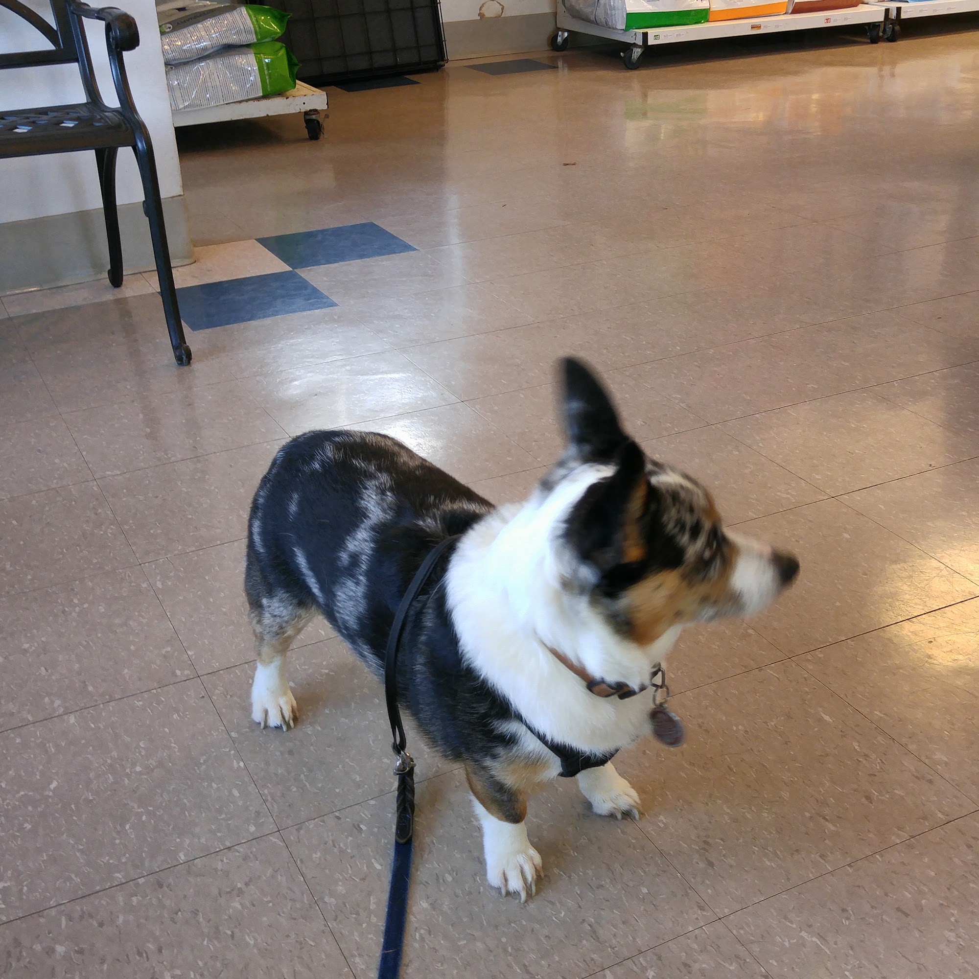 Barnes Mill Animal Hospital Richmond