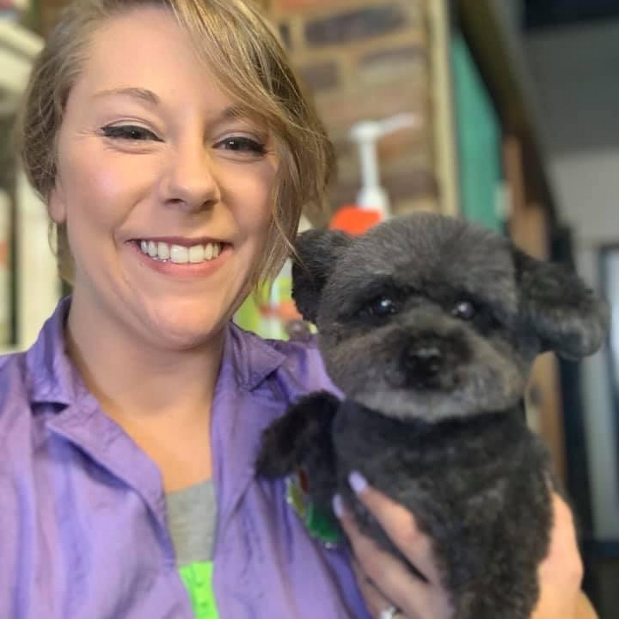 Adventure Paws Pet Grooming Richmond