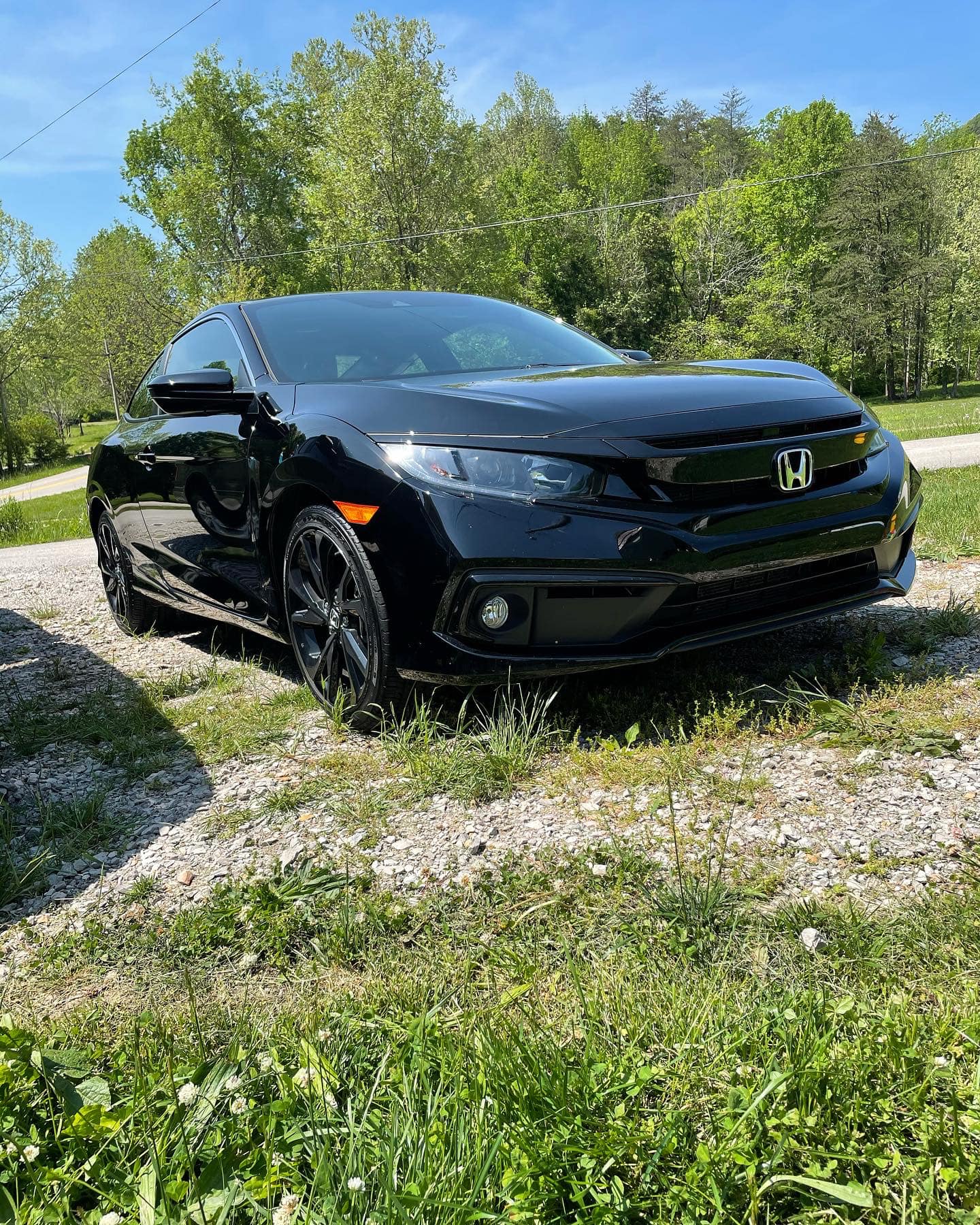 Roark Auto Detailing