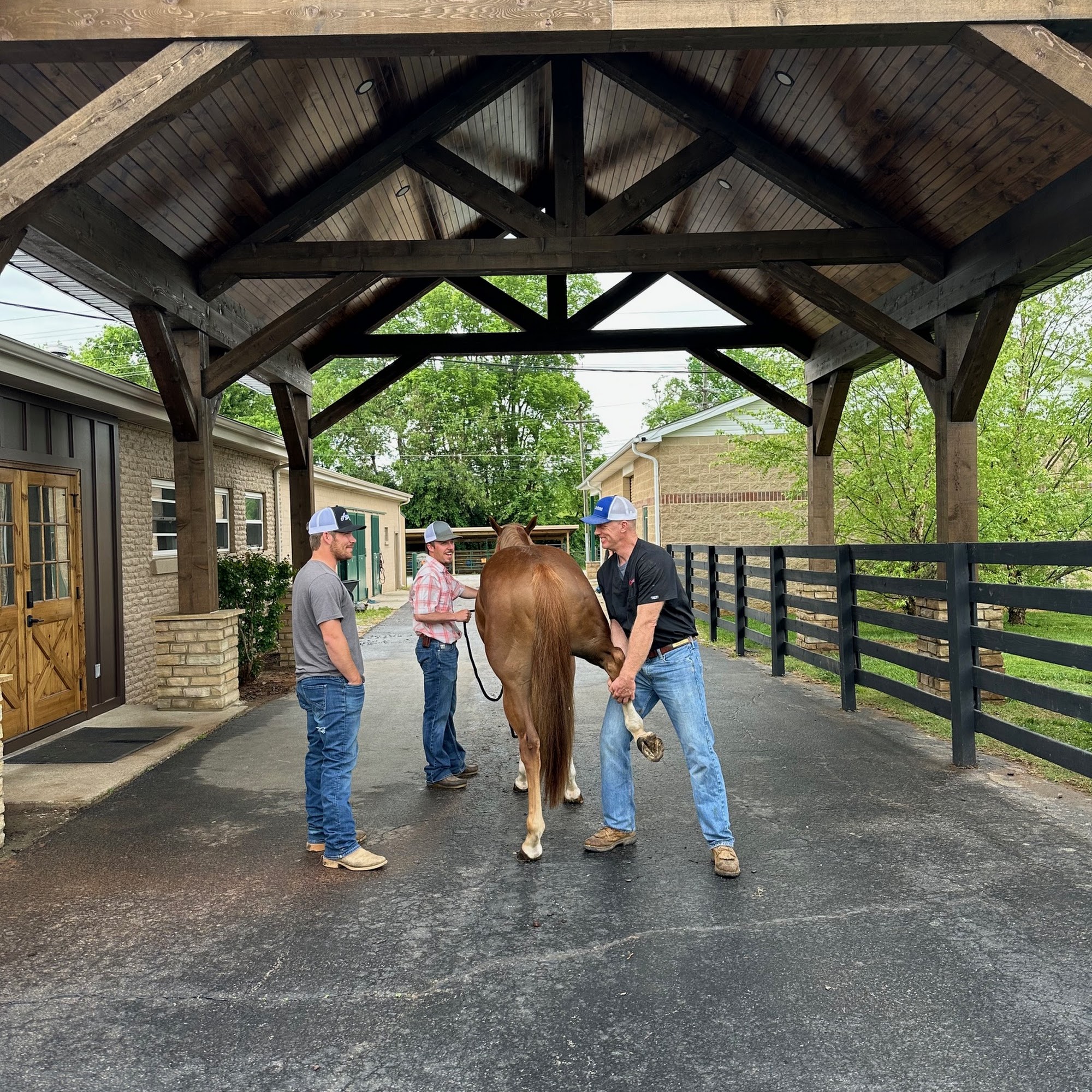 Logan Bethel Veterinary Services Russellville