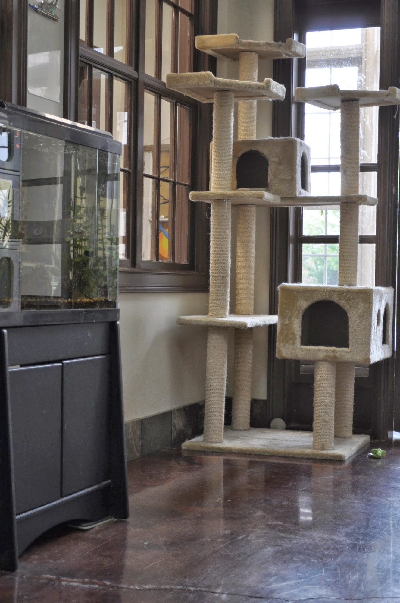 Logan County Animal Clinic Russellville