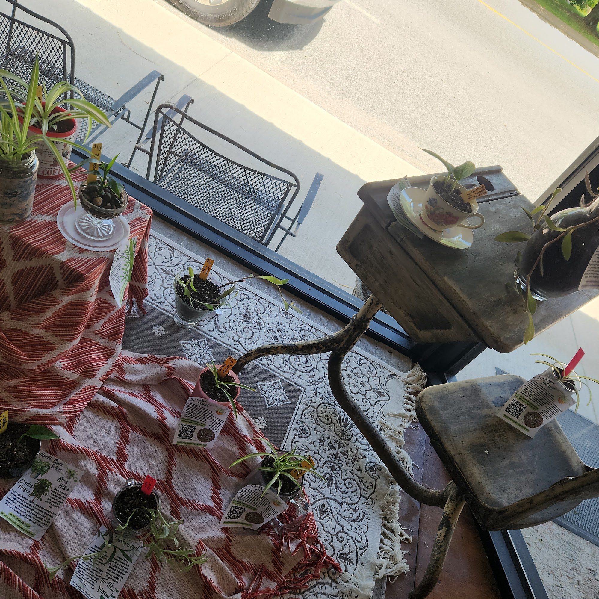 Blooms Etc