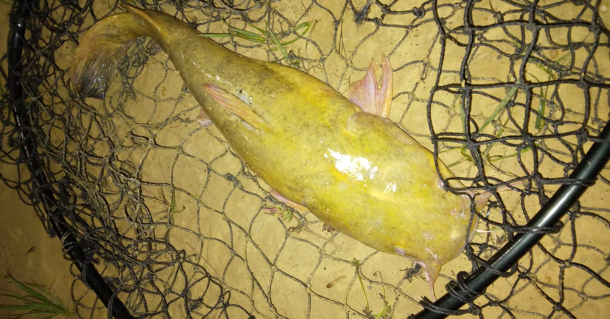 Moore Staffing 673 Moores Ferry Rd, Salt Lick Kentucky 40371