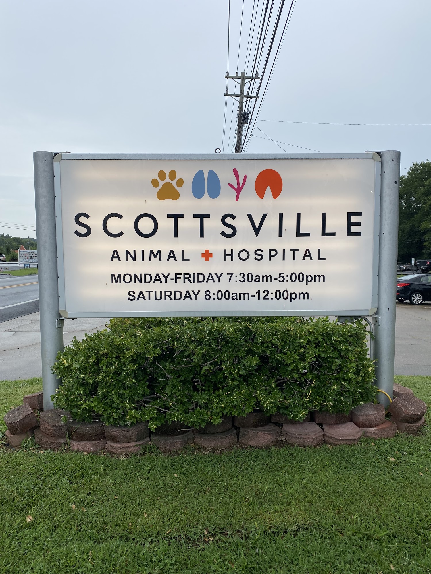 Scottsville Animal Hospital Scottsville