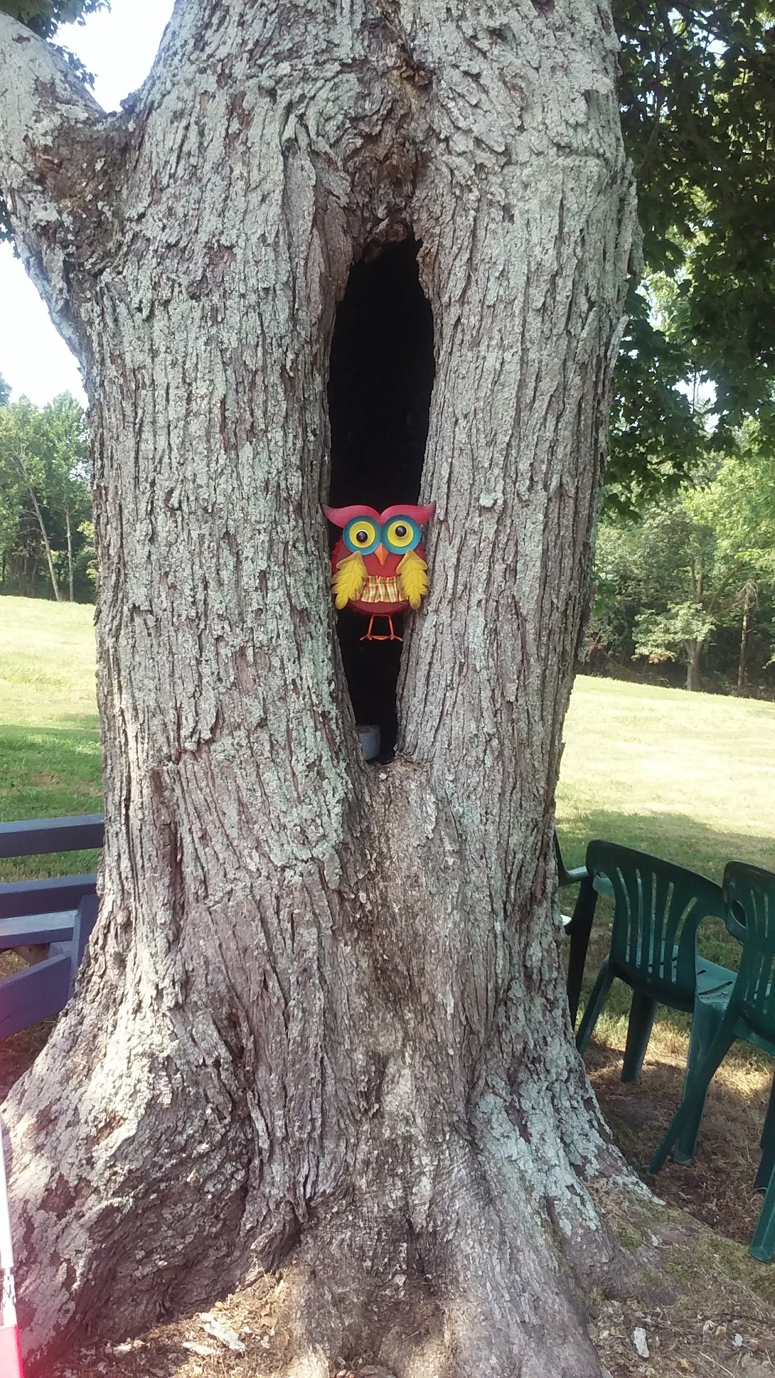 Spring Mountain Water LLC Sebree