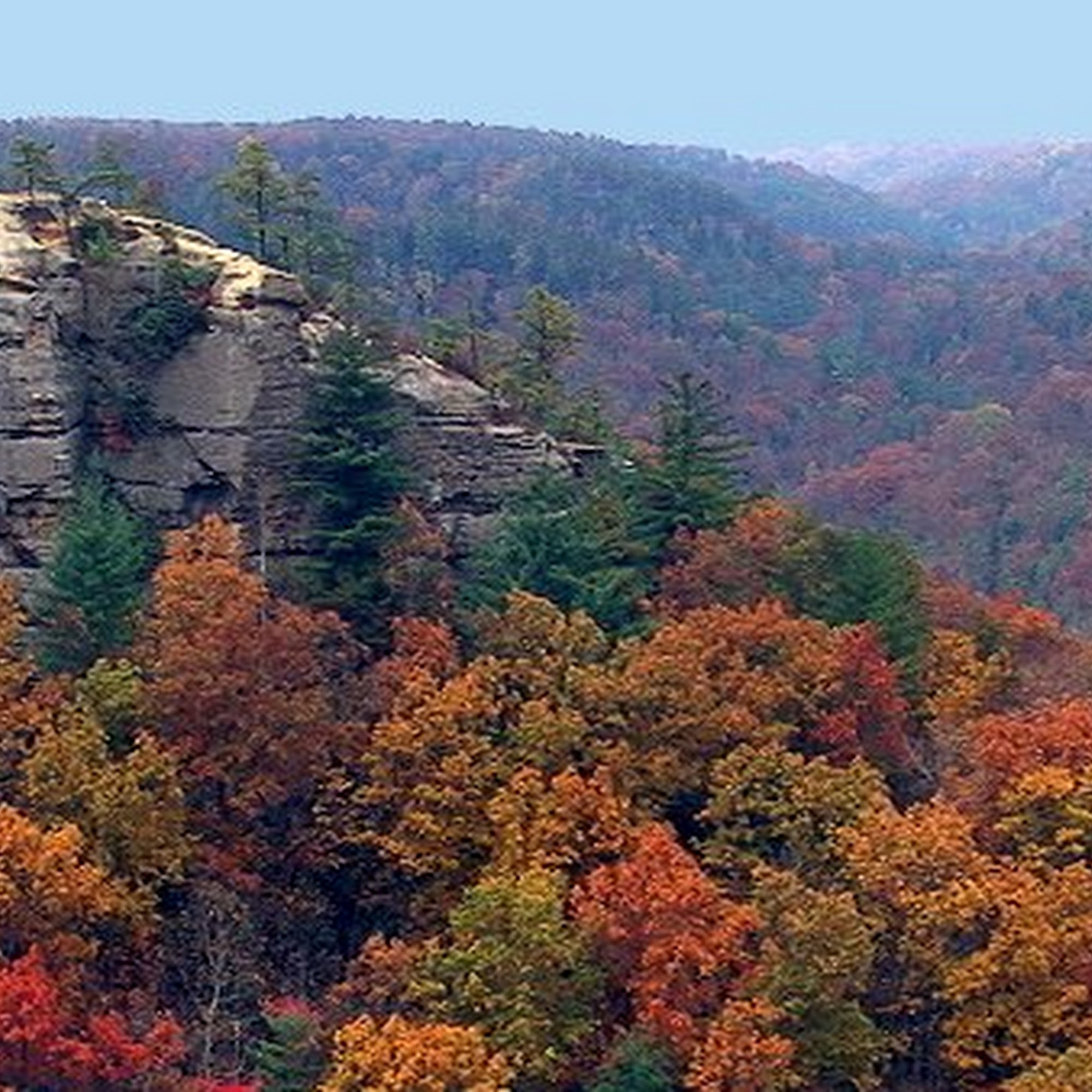 Daniel Boone Coffee Shop Slade