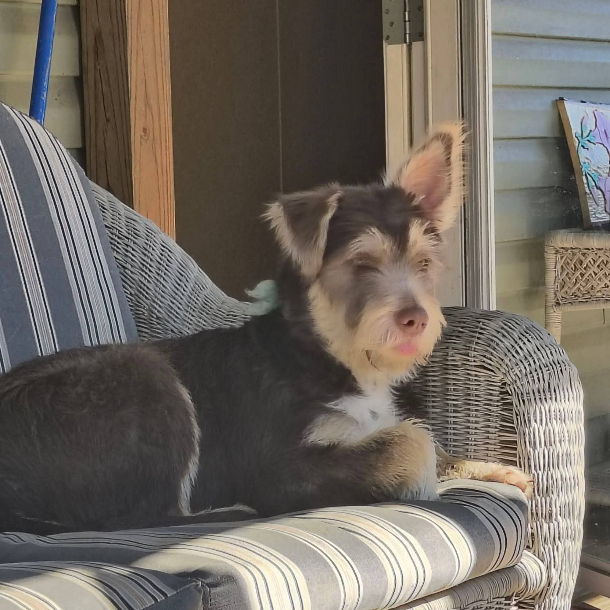 Midway Veterinary Hospital Somerset