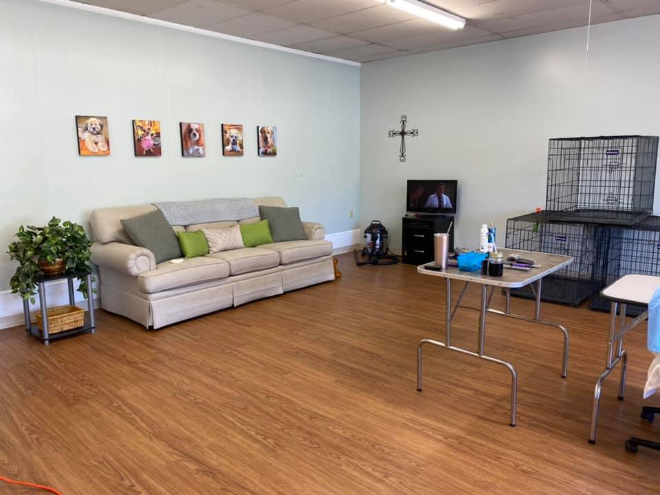 Just Like Home Pet Grooming Somerset