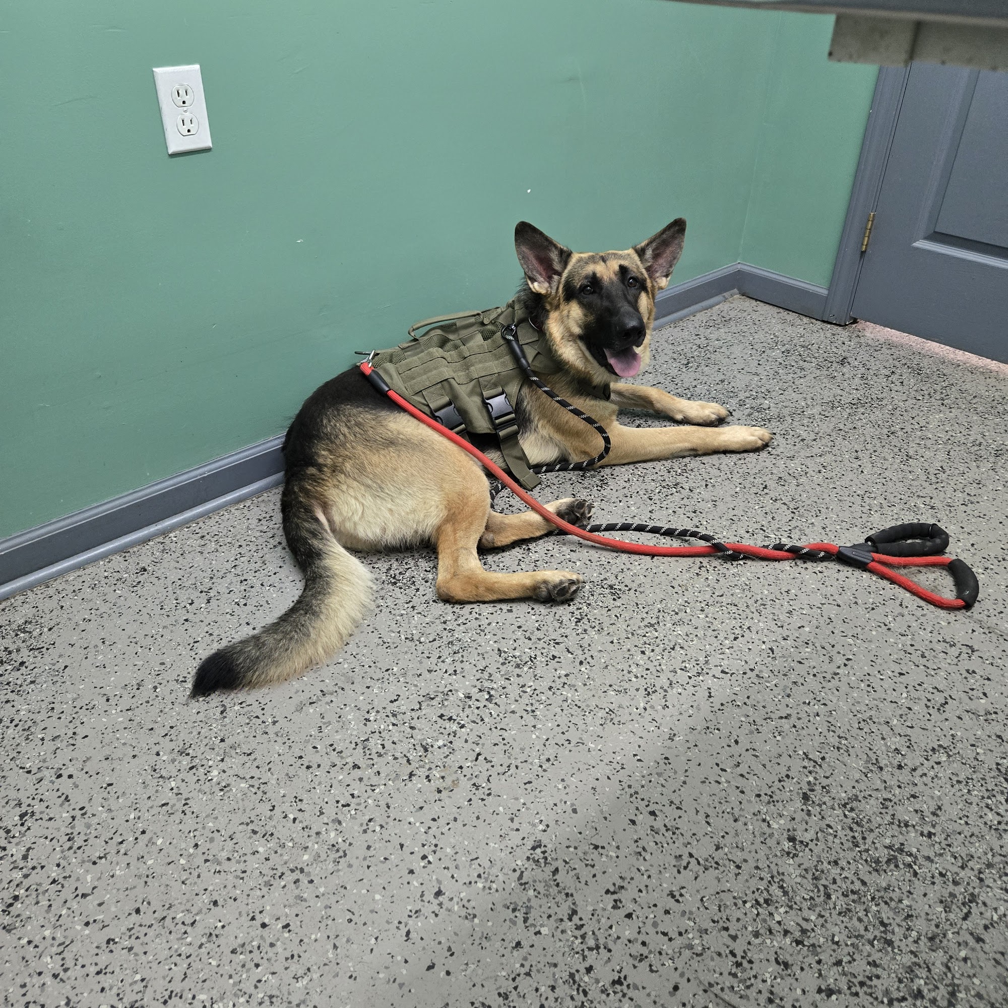 Stanford Veterinary Hospital Stanford