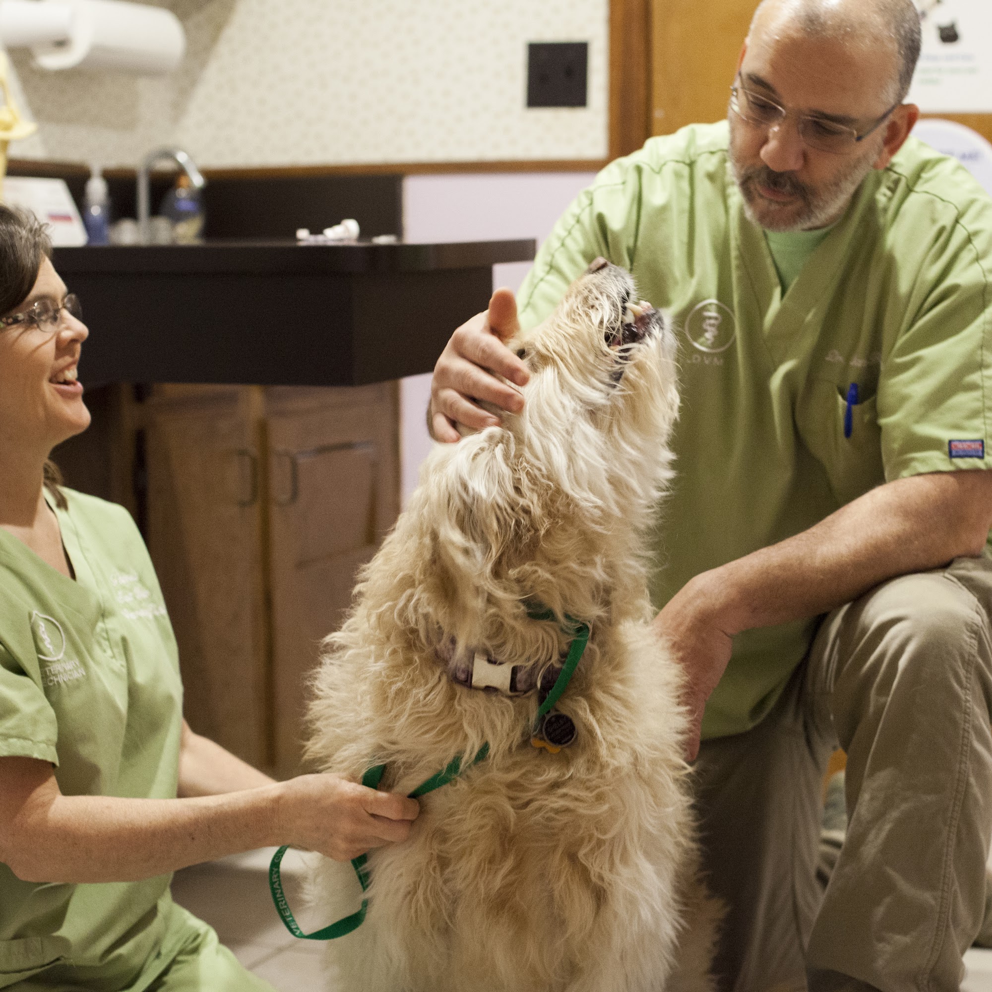 Salt River Veterinary Clinic Taylorsville