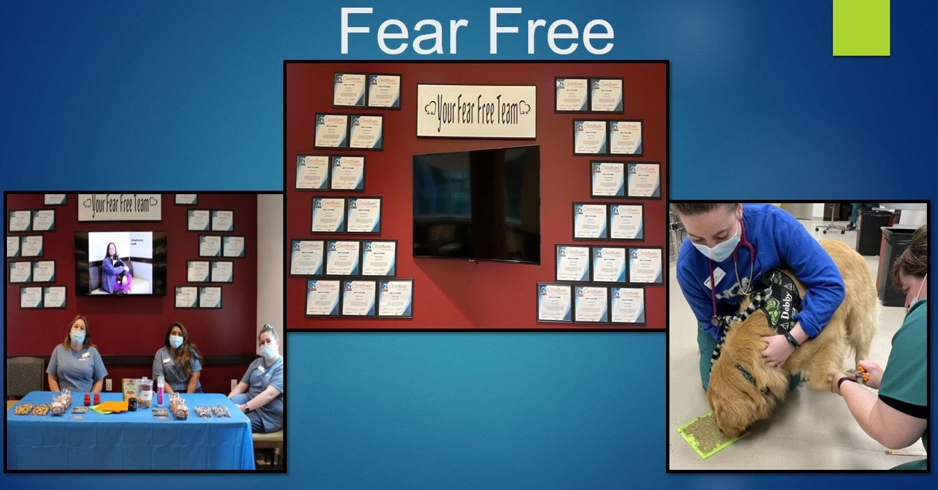 VCA Woodford Animal Hospital Versailles