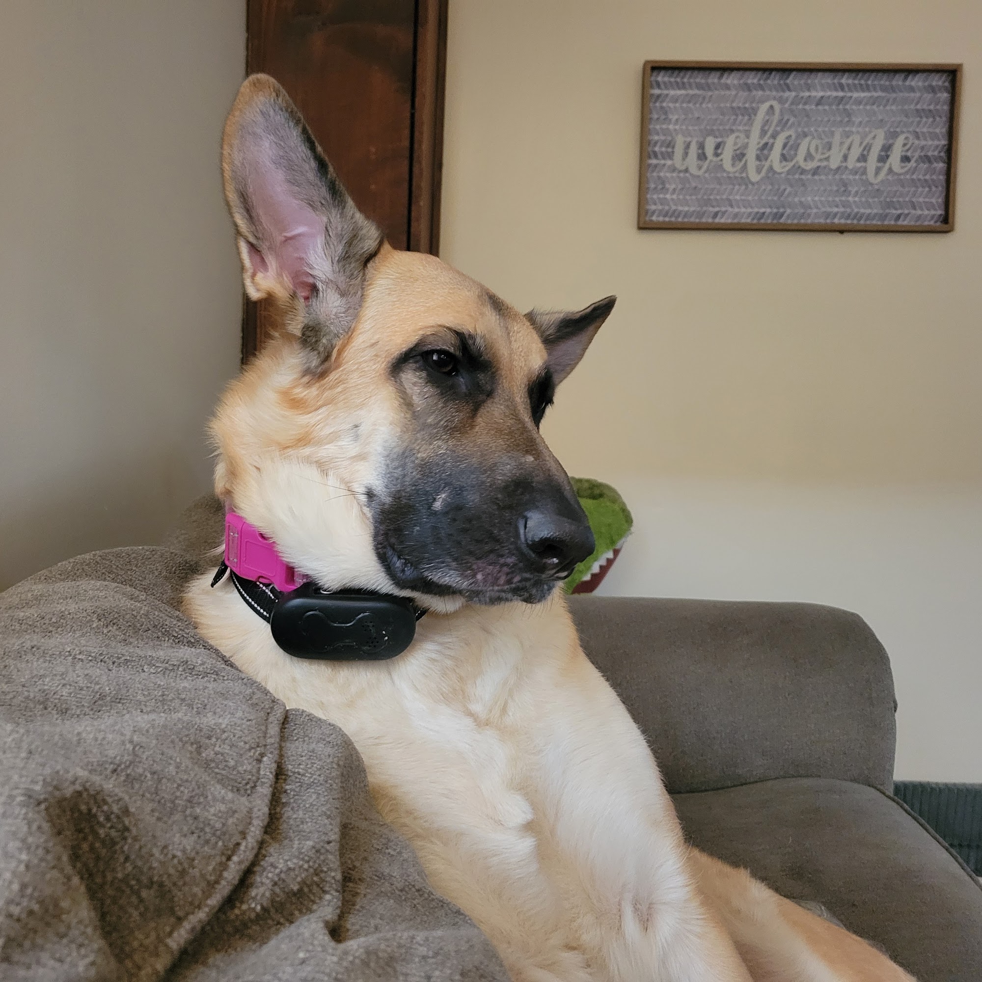 Animal Care Hospital West Liberty