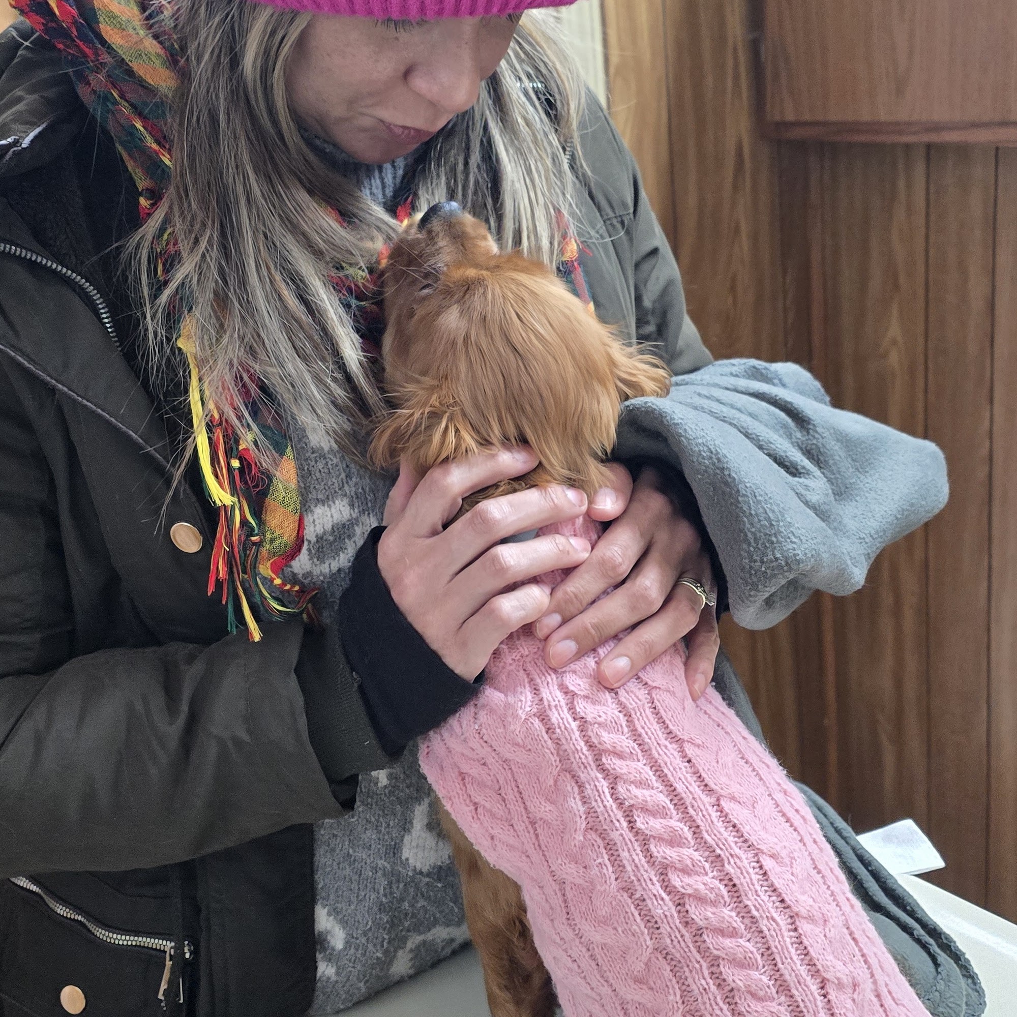 Winchester Animal Clinic Winchester