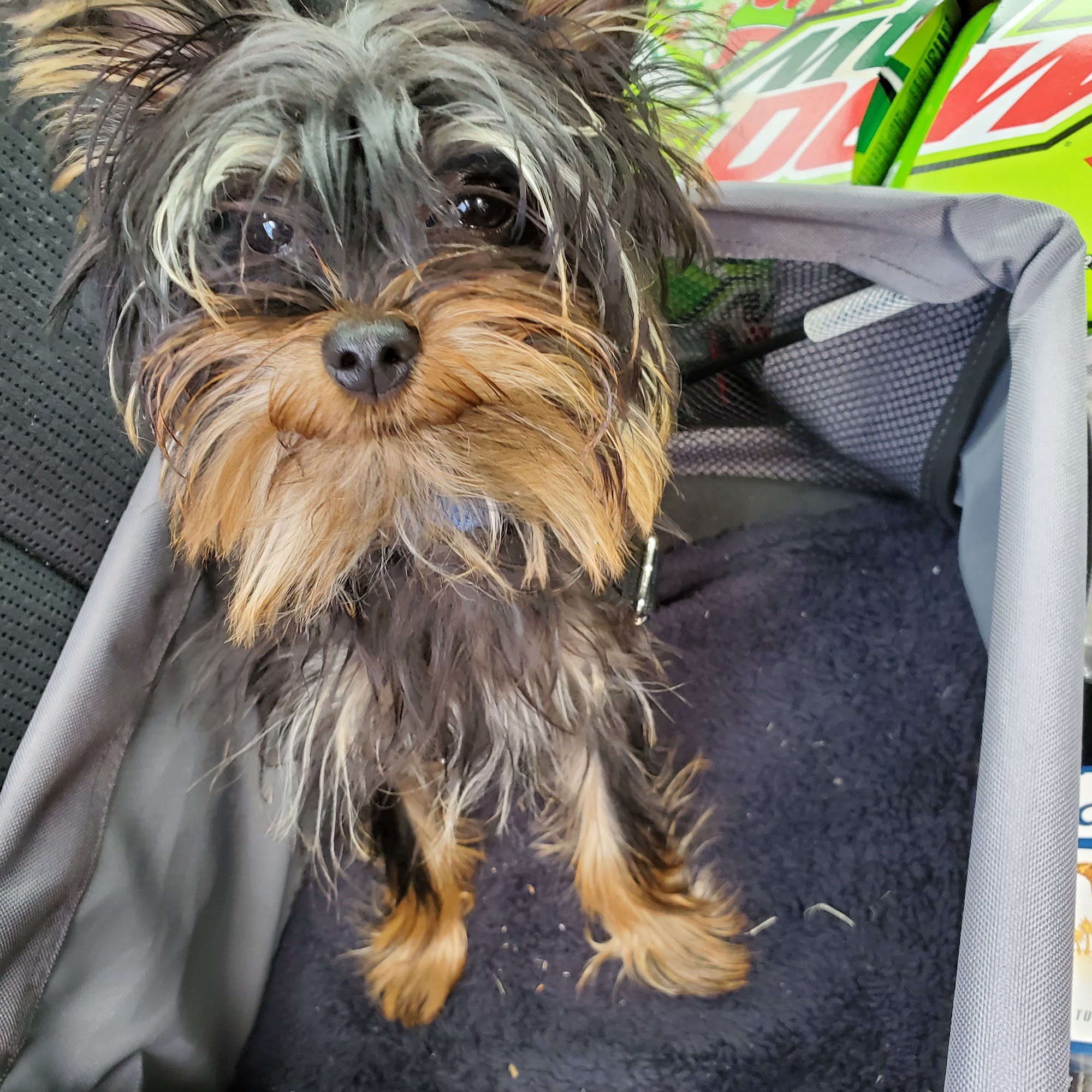 Clark County Veterinary Clinic Winchester