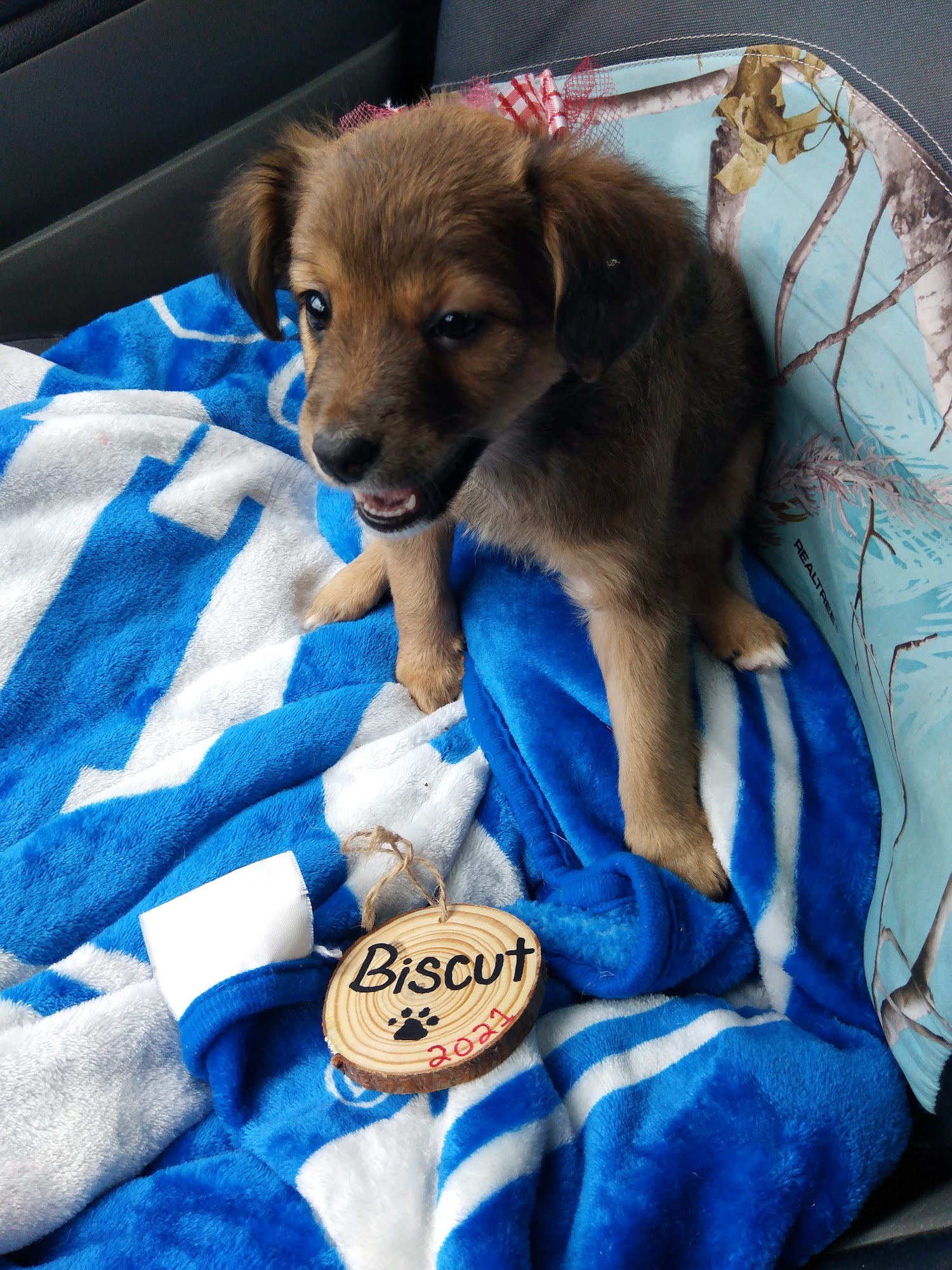 Clark County Veterinary Clinic Winchester