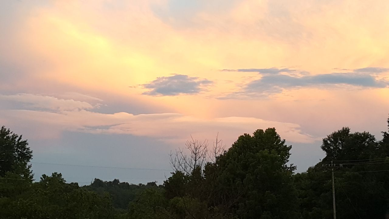 Valkyrie K-9 Training Winchester