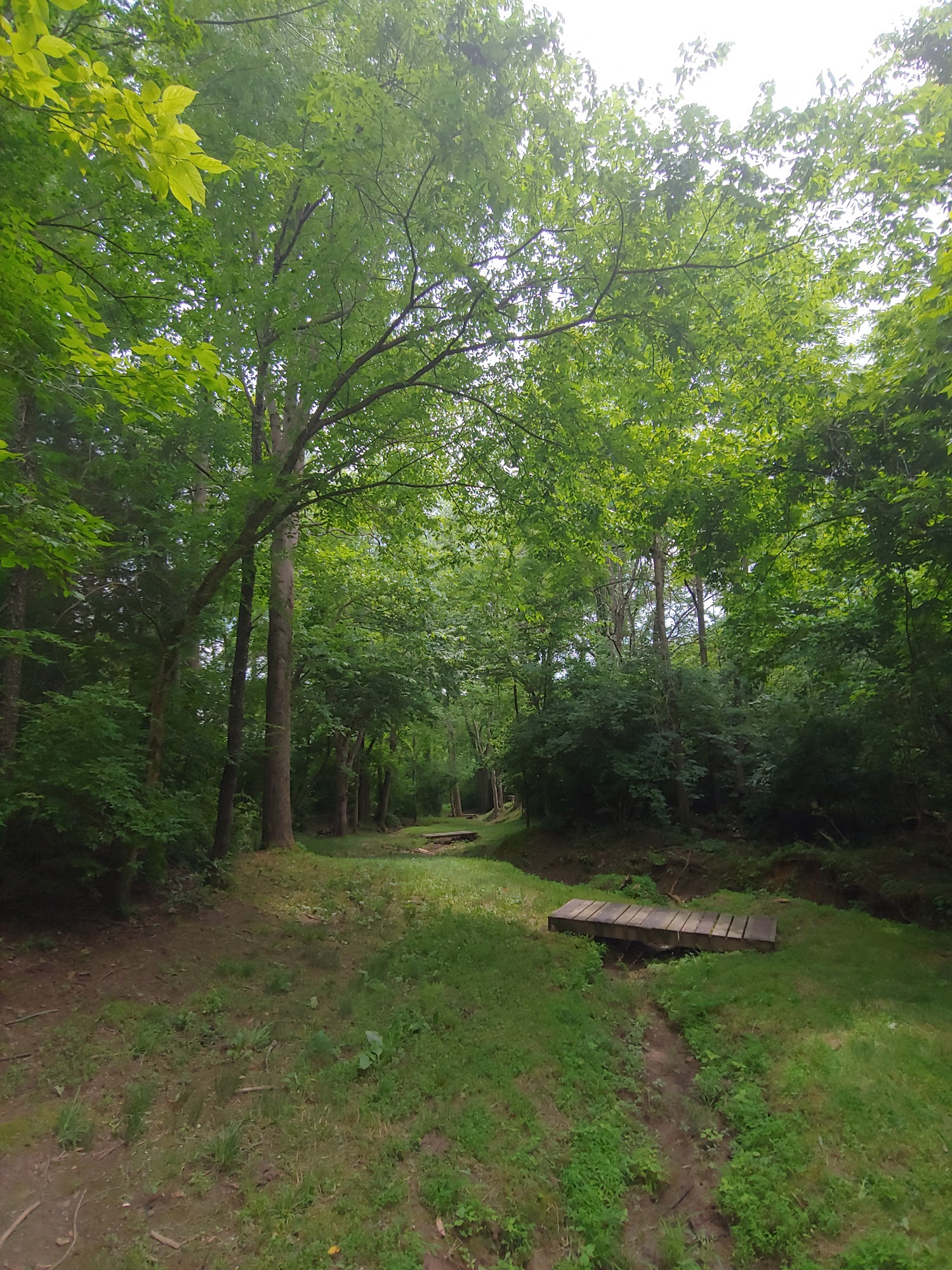 Clark County Animal Shelter Winchester