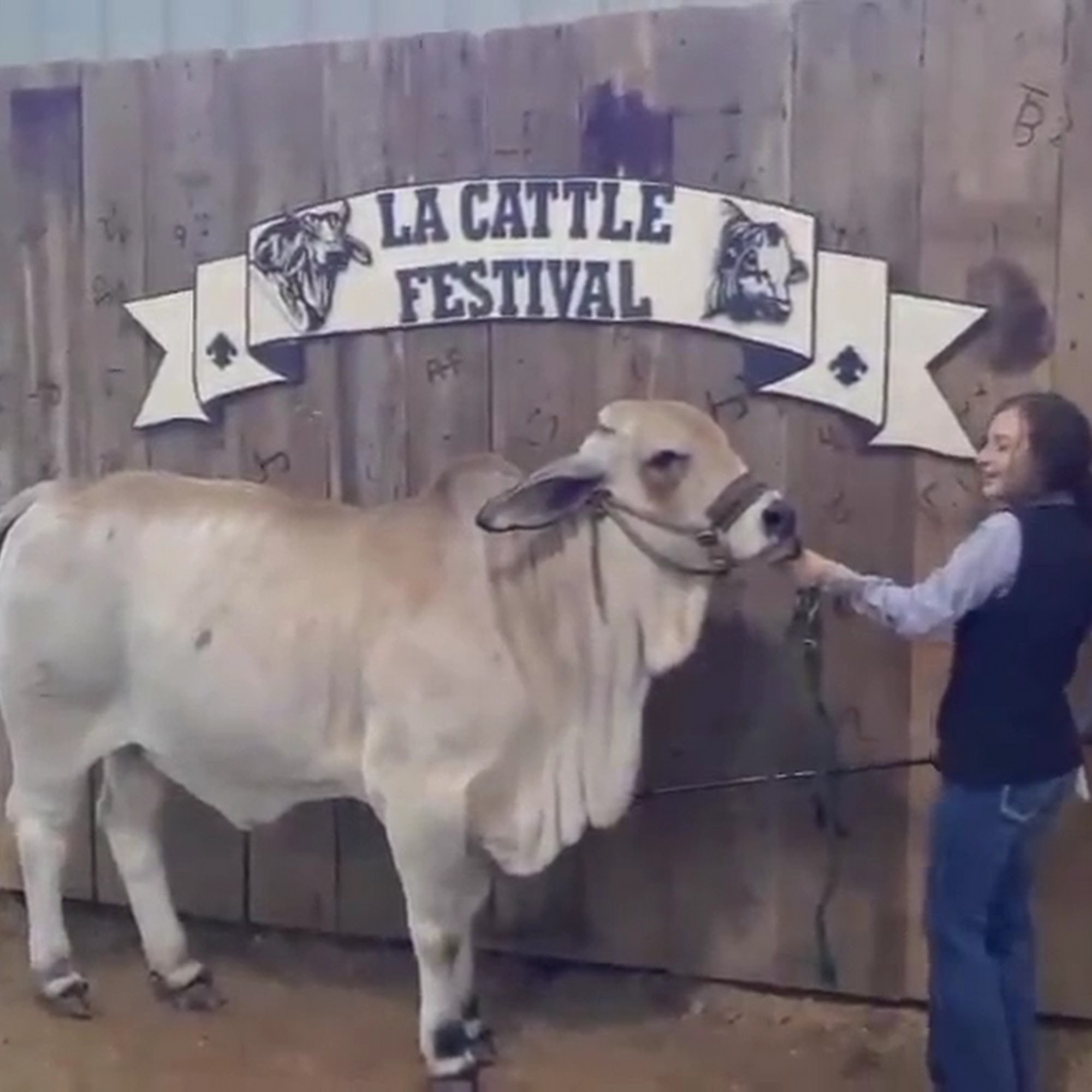 Whittington Veterinary Clinic Abbeville