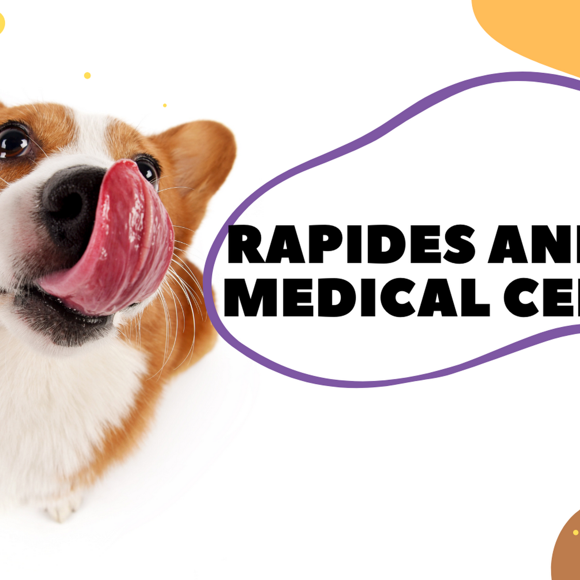 Rapides Animal Medical Center Alexandria