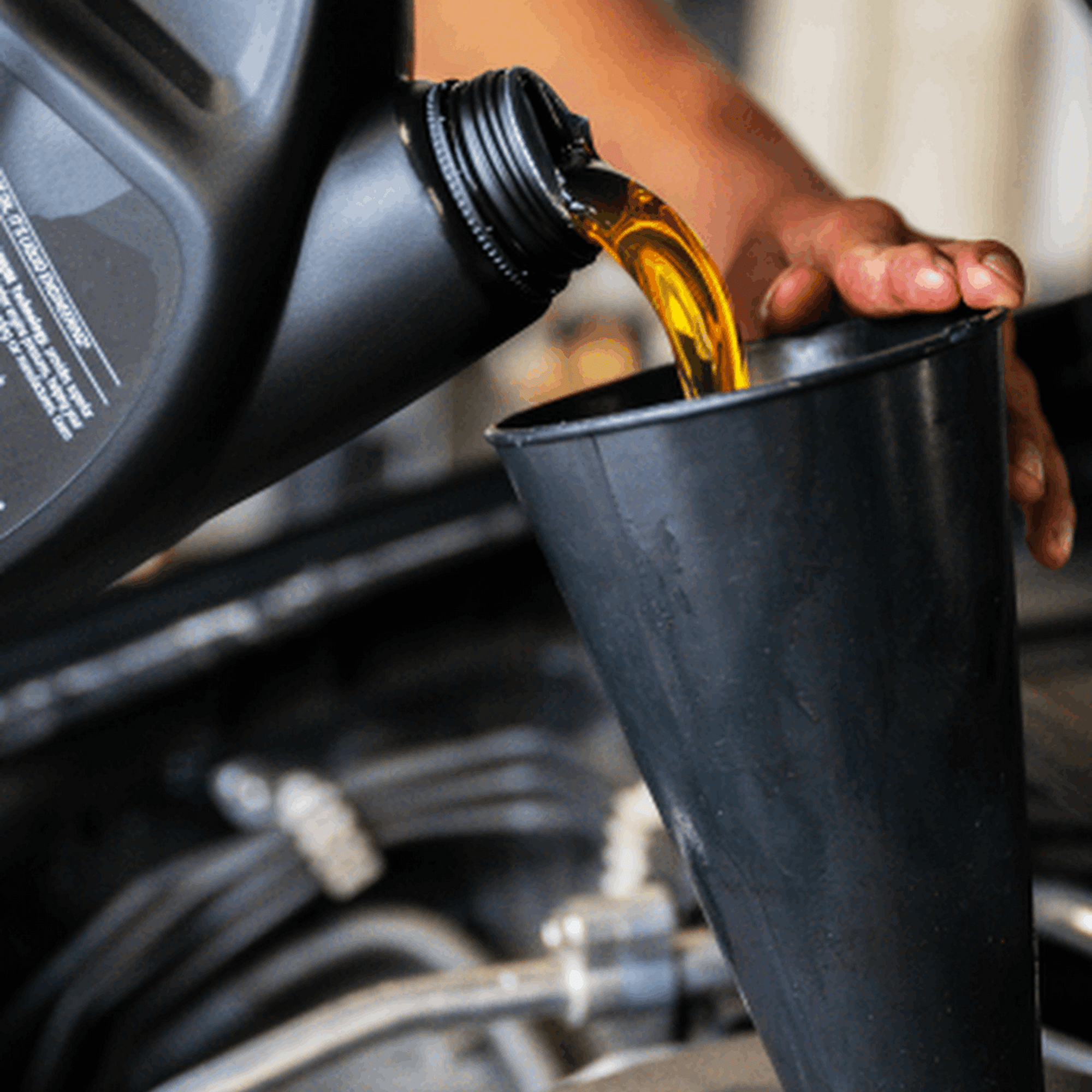 Take 5 Oil Change Bastrop