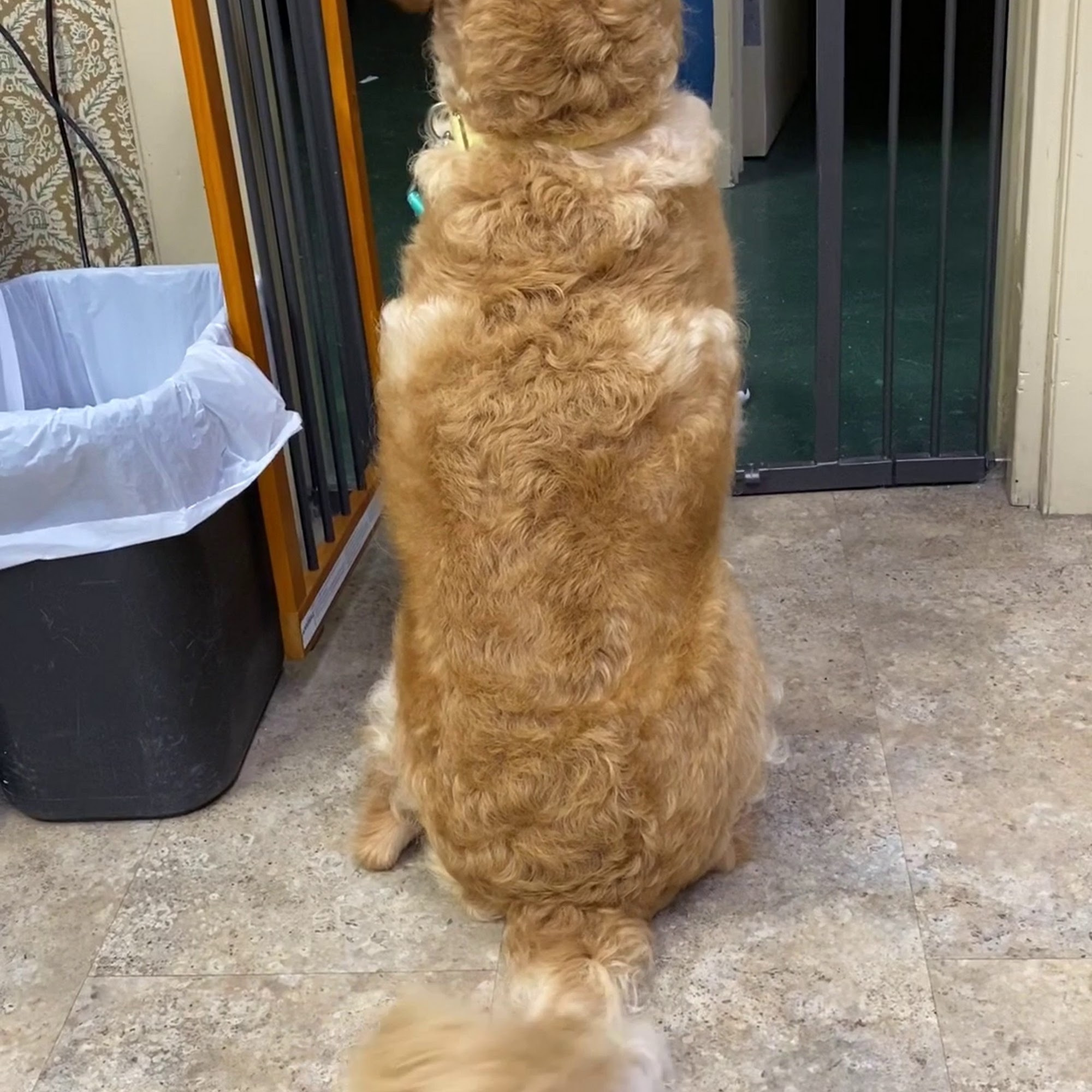 Animal Health Clinic Baton Rouge