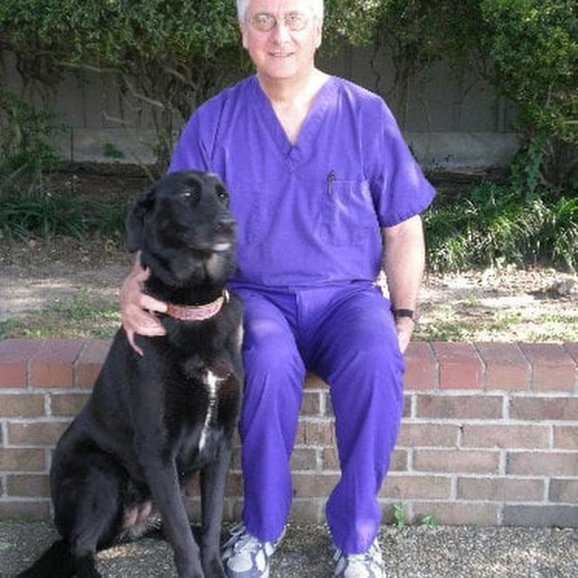 Jefferson Animal Hospital Baton Rouge