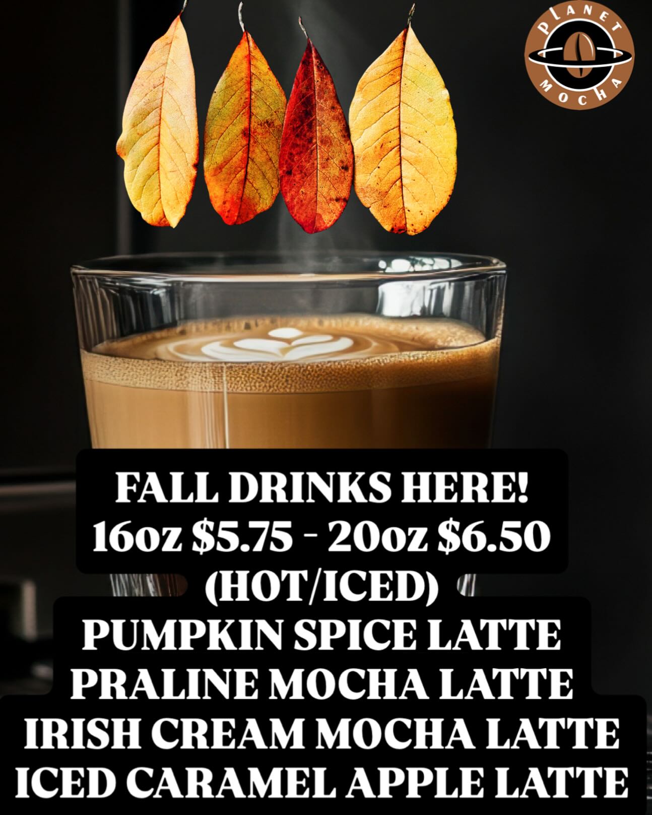 Planet Mocha Coffee Menu