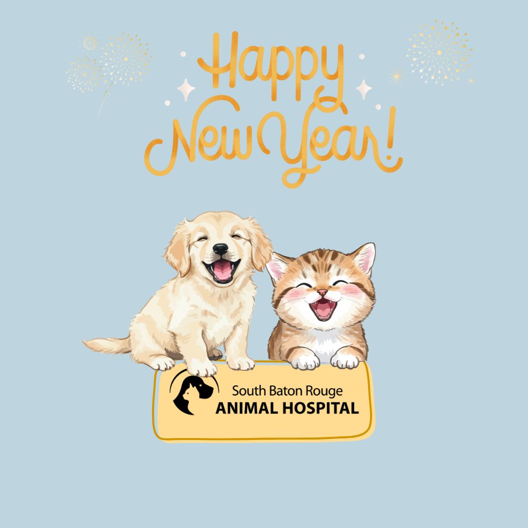 South Baton Rouge Animal Hospital Baton Rouge