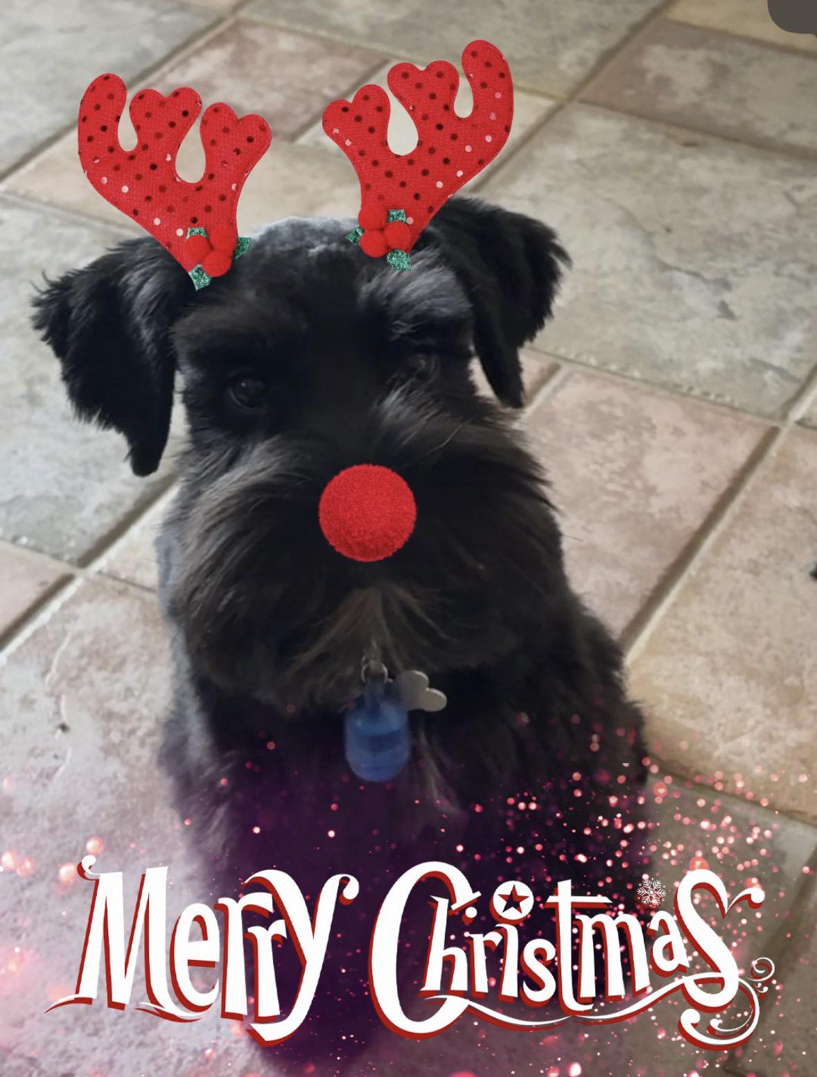 FUR KREWE Baton Rouge